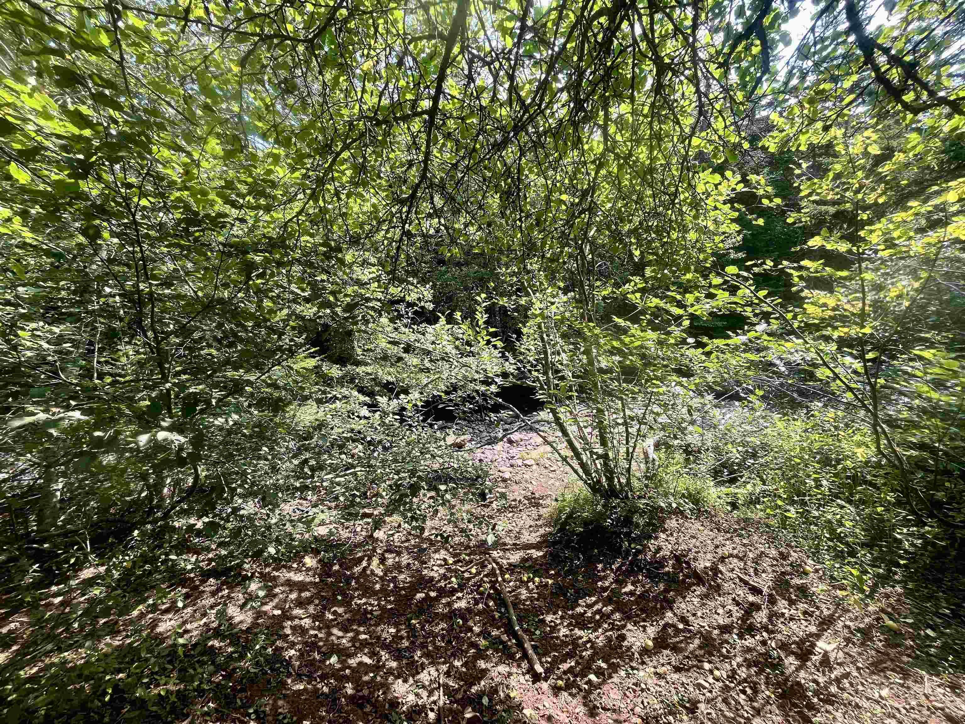 $285,000.00: 1520 Back Road, River Bourgeois