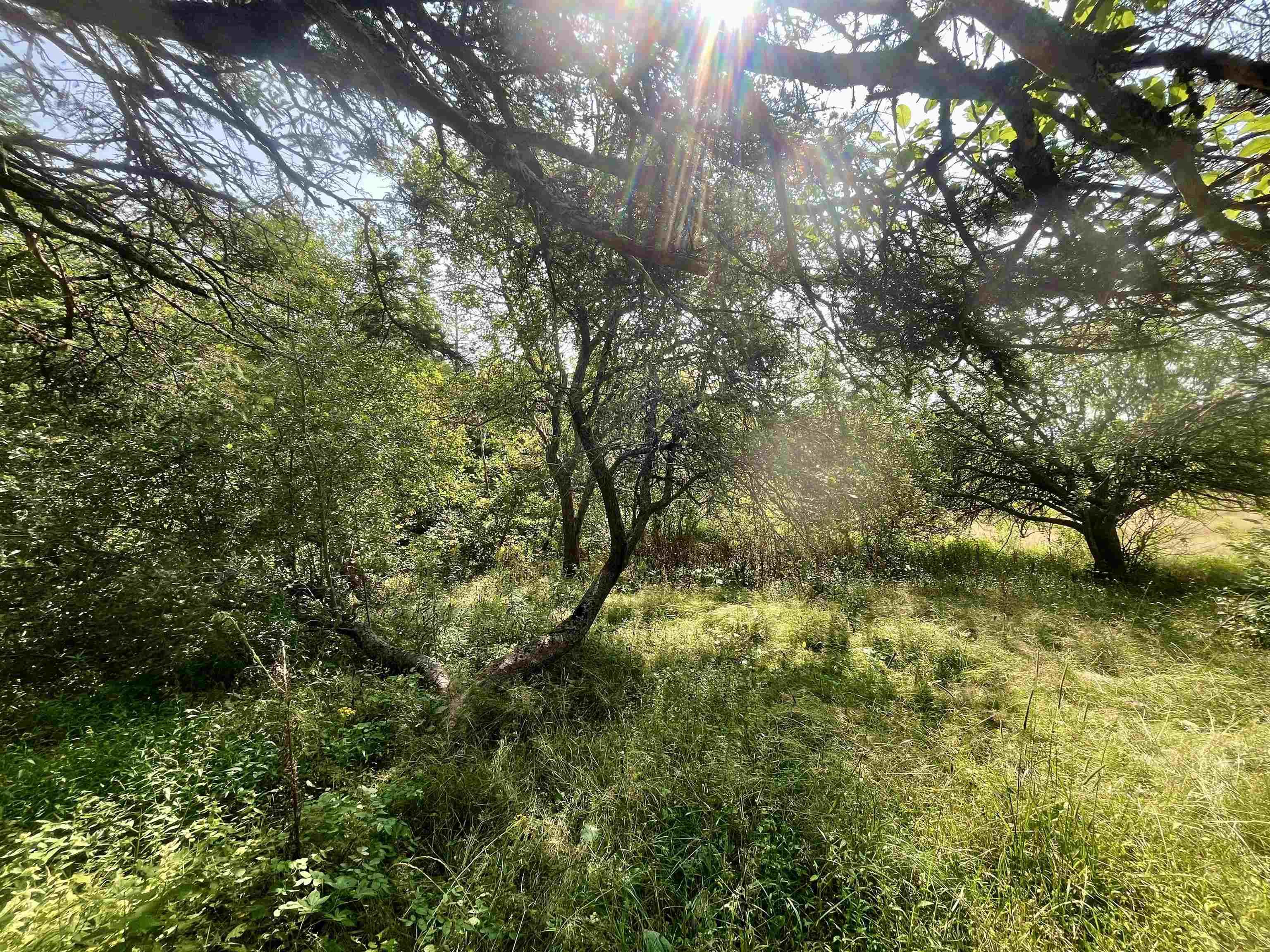 $285,000.00: 1520 Back Road, River Bourgeois