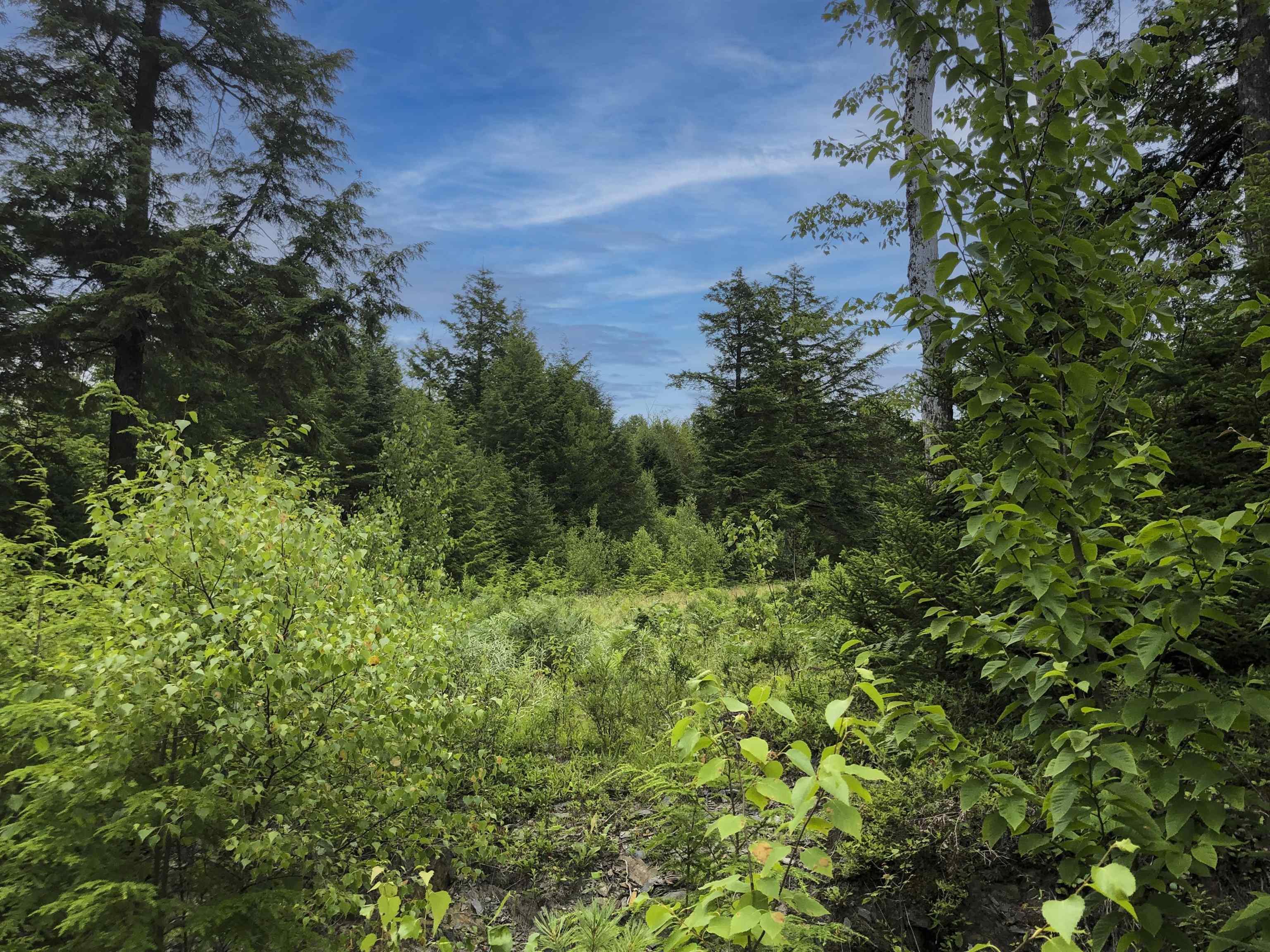 $65,000.00: Lot 21-2 Lazy River Road, Conquerall Mills