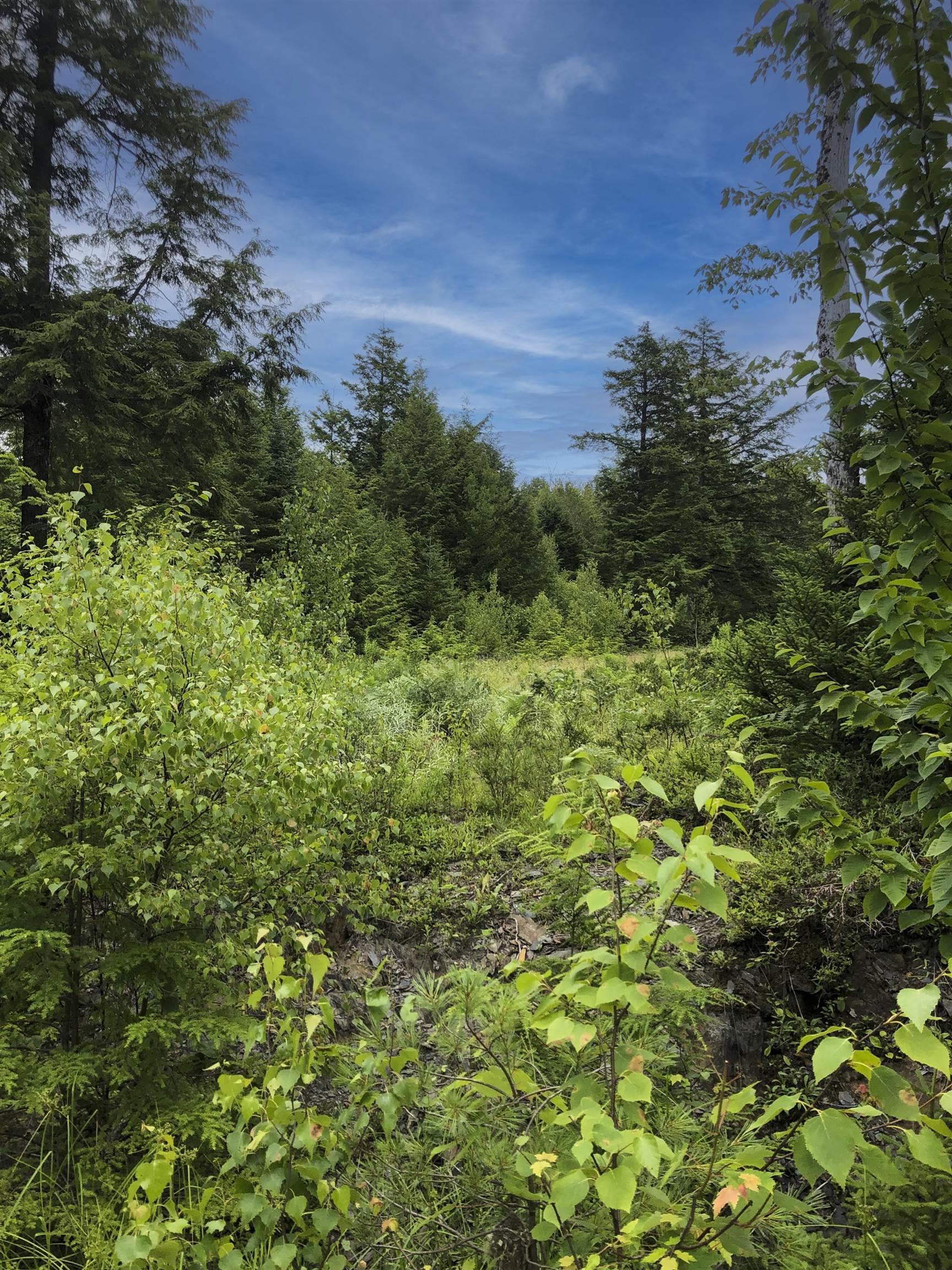 $65,000.00: Lot 21-2 Lazy River Road, Conquerall Mills