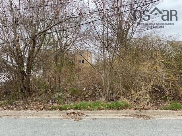 15 Springhill Drive, Dartmouth, NS (MLS 202517358)