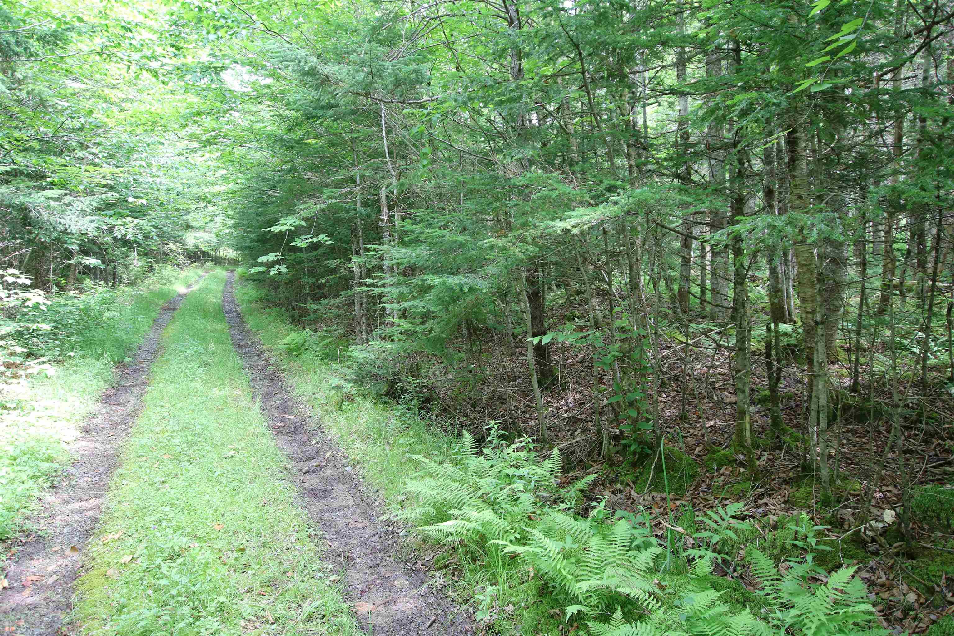 $33,900.00: Lot 1 Birch Road Branch, Ogden