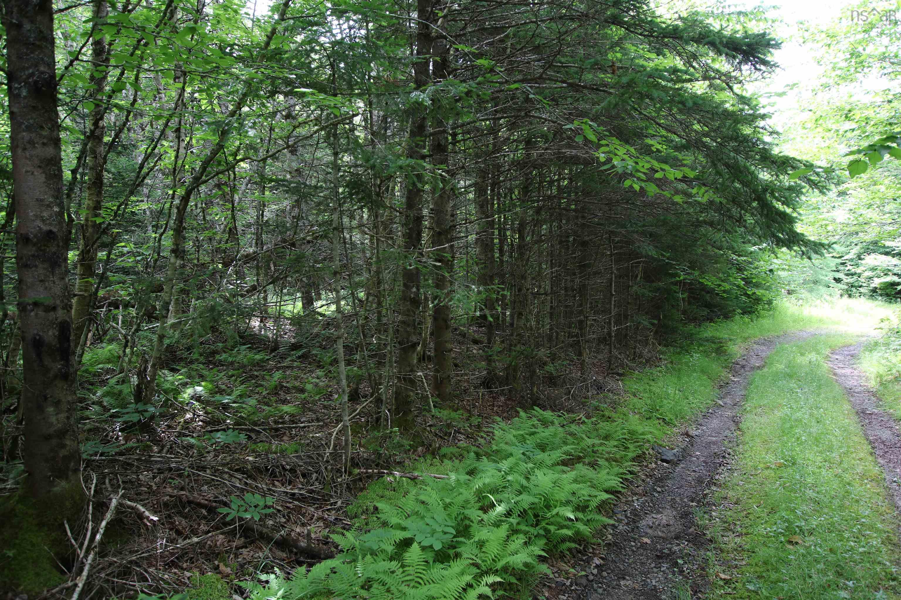 $33,900.00: Lot 1 Birch Road Branch, Ogden