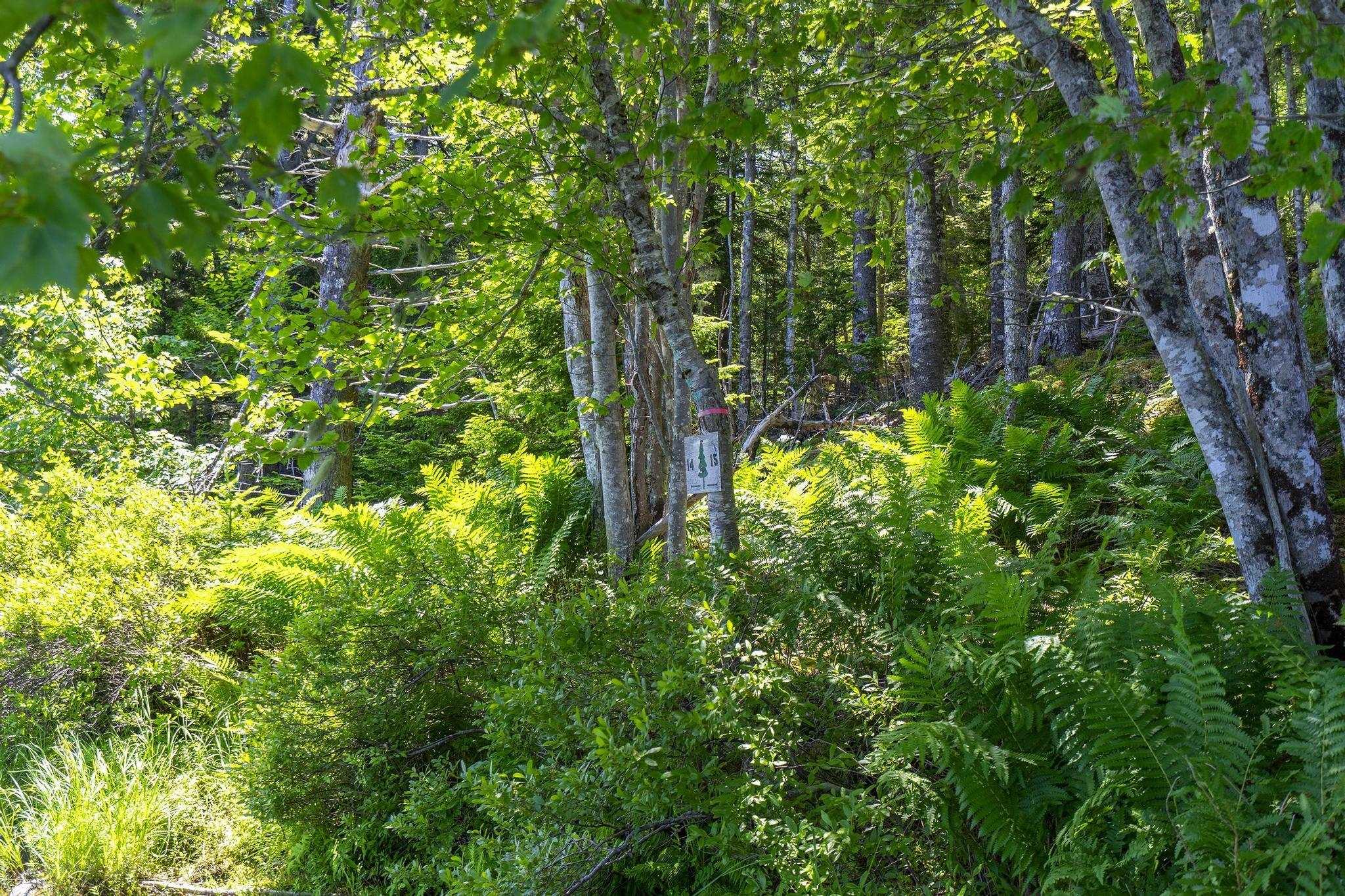 $75,000.00: 14 Killiam Forest Road, Ireton