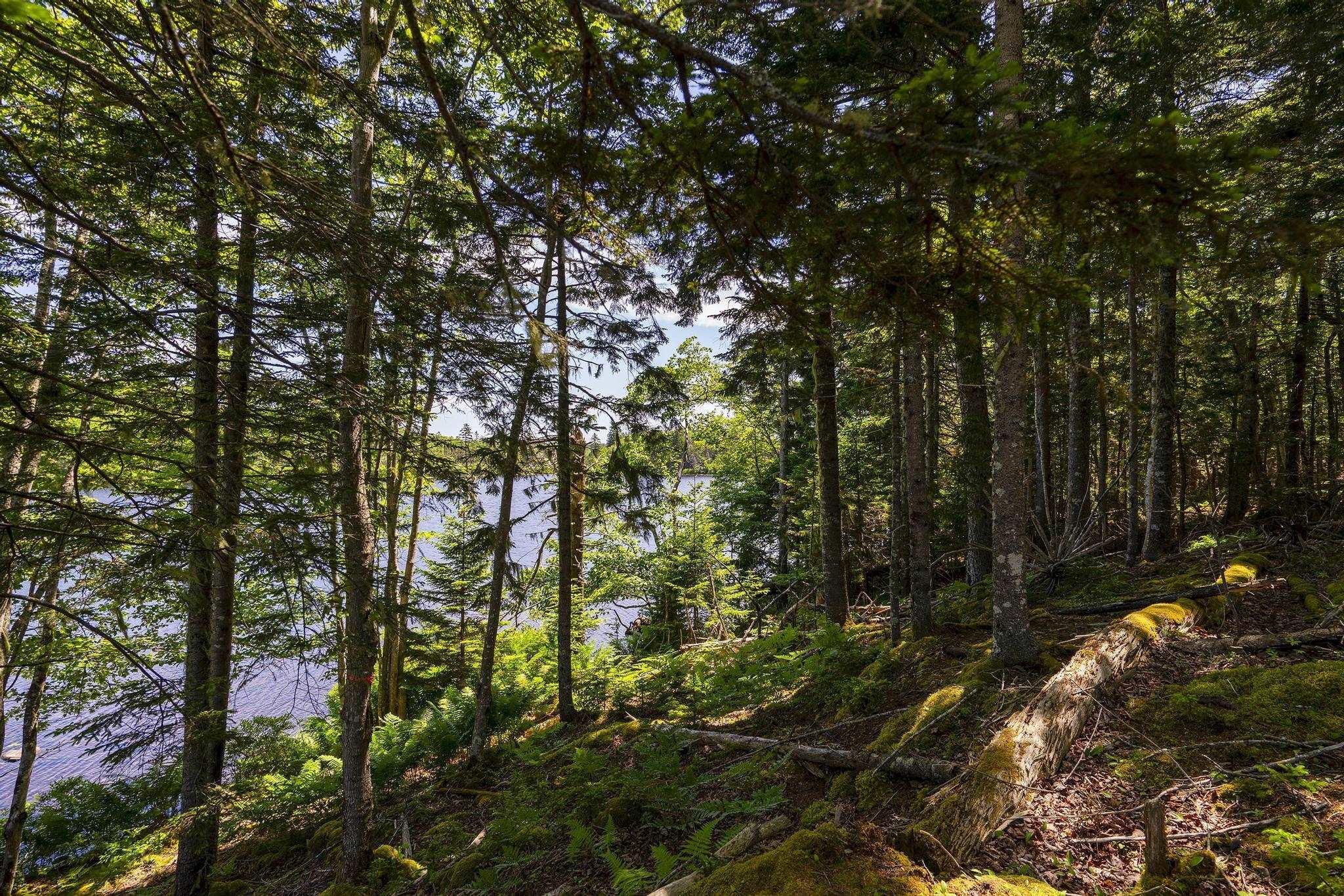 $75,000.00: 14 Killiam Forest Road, Ireton