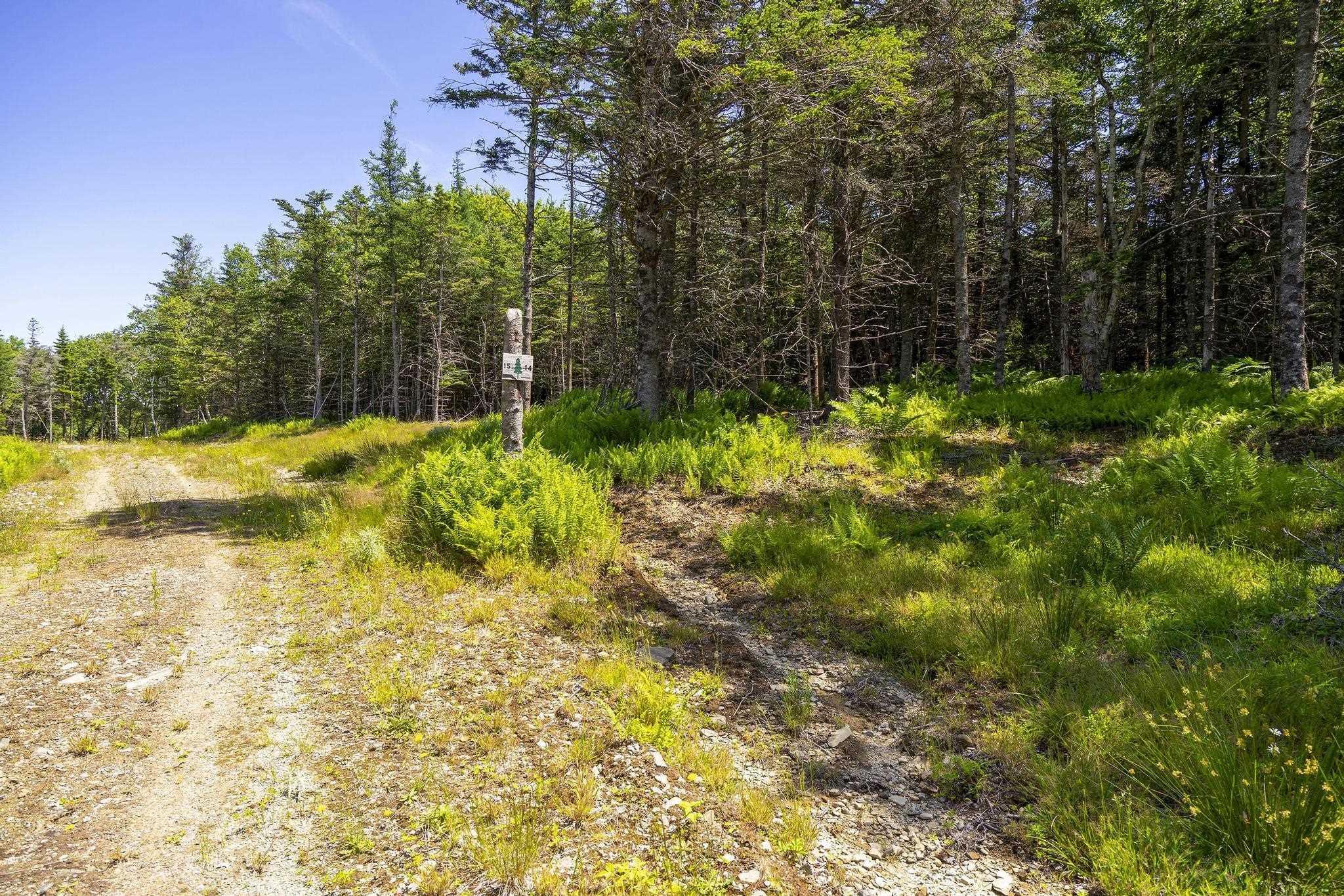 $75,000.00: 14 Killiam Forest Road, Ireton