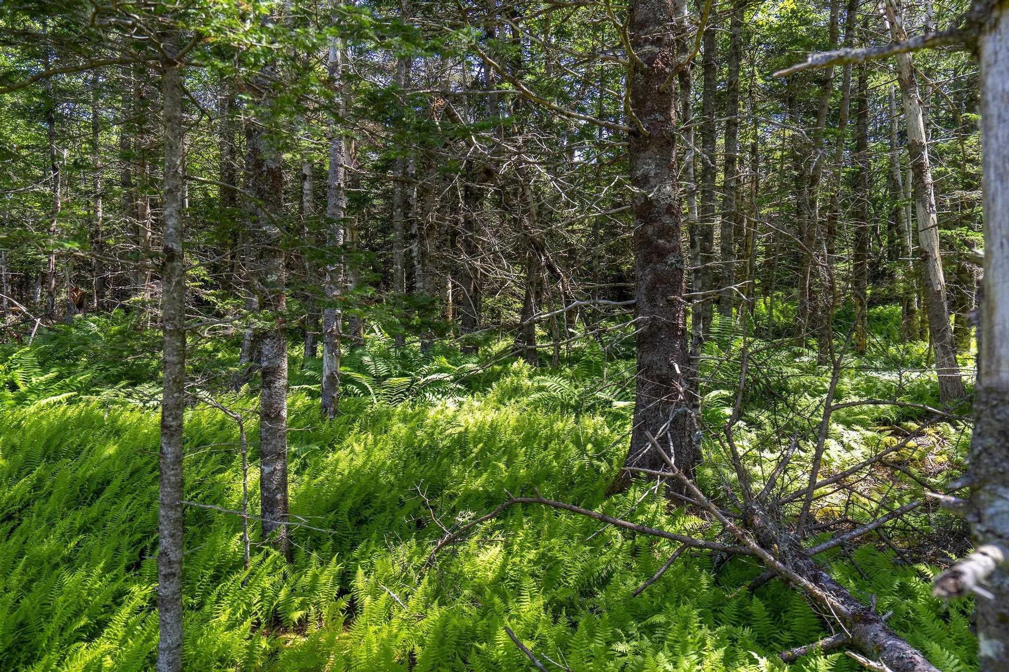 $75,000.00: 14 Killiam Forest Road, Ireton