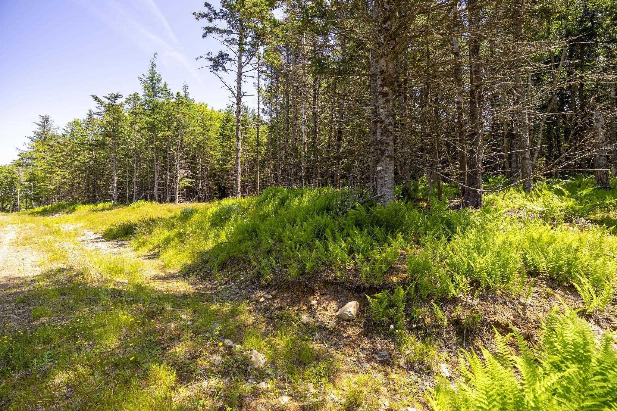 $75,000.00: 14 Killiam Forest Road, Ireton