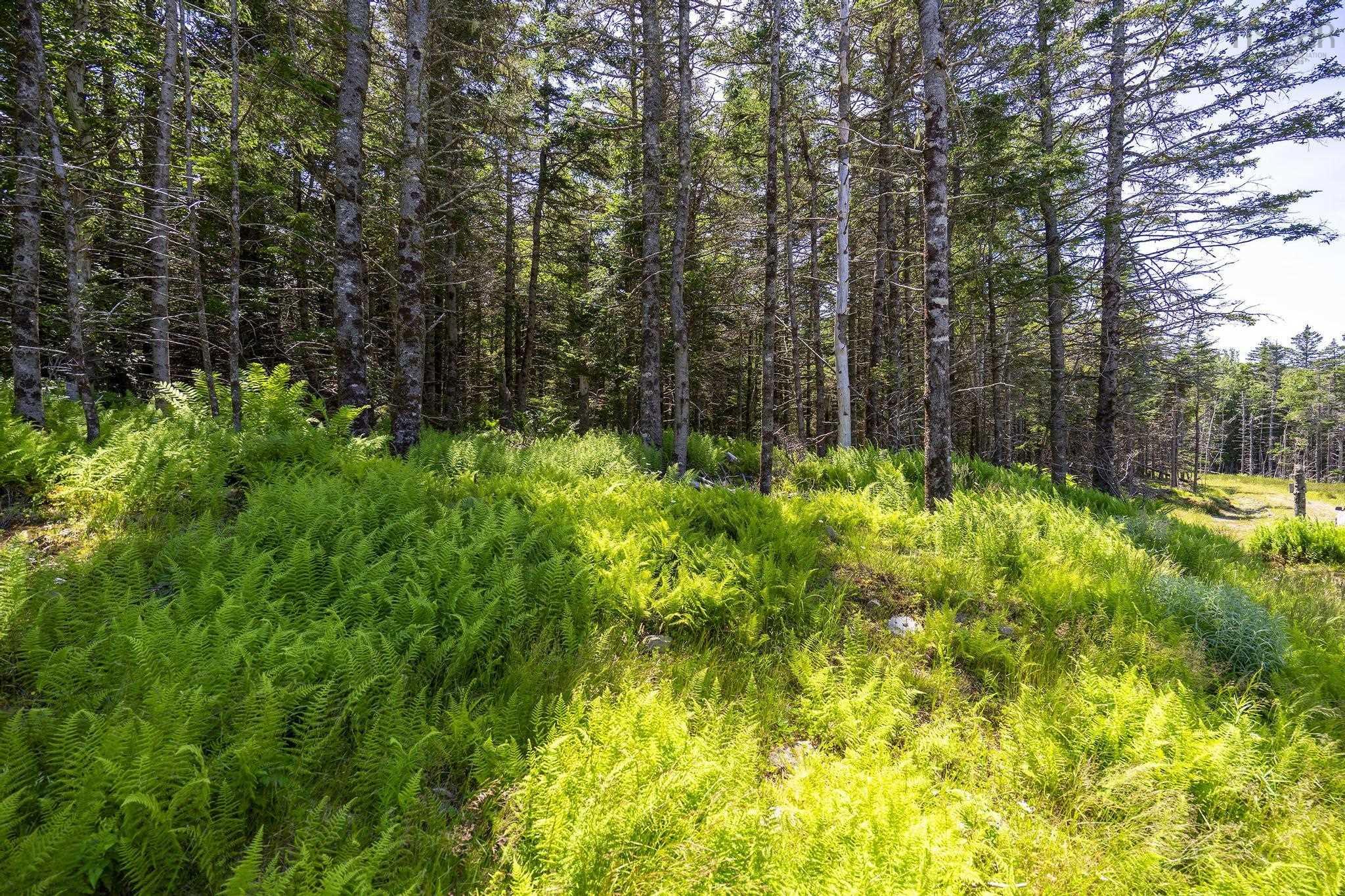 $75,000.00: 14 Killiam Forest Road, Ireton