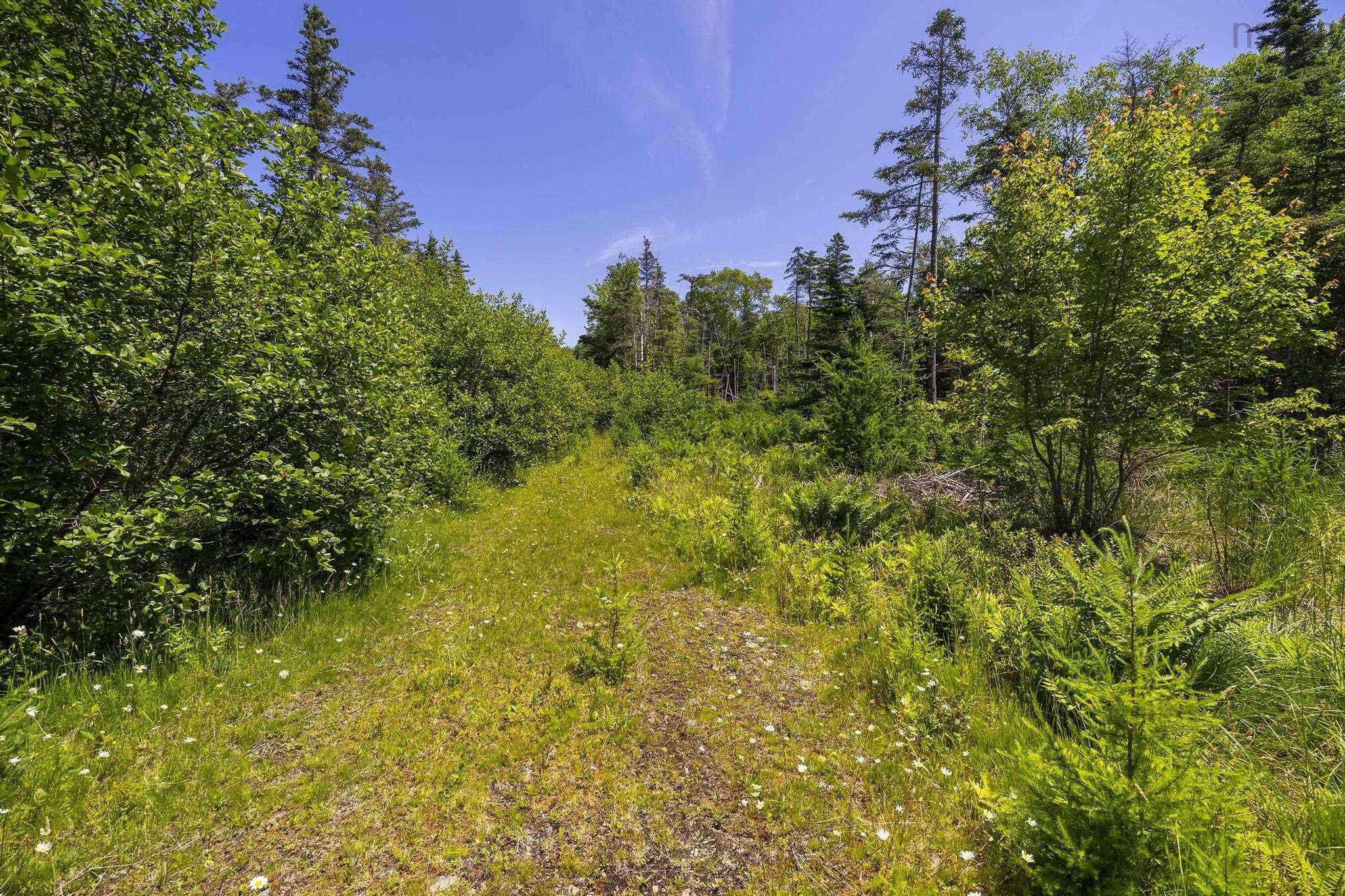 $75,000.00: 14 Killiam Forest Road, Ireton