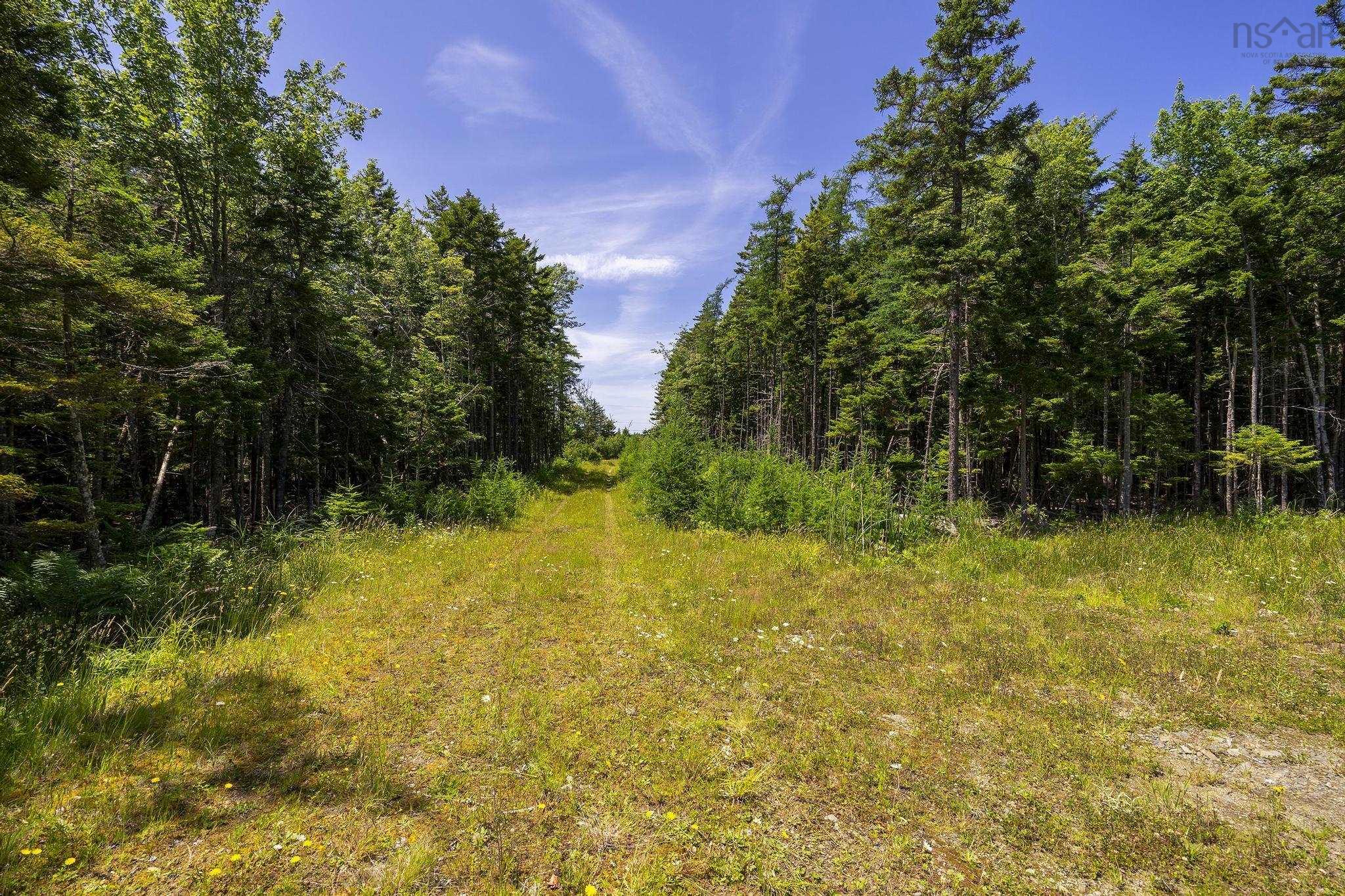 $75,000.00: 14 Killiam Forest Road, Ireton