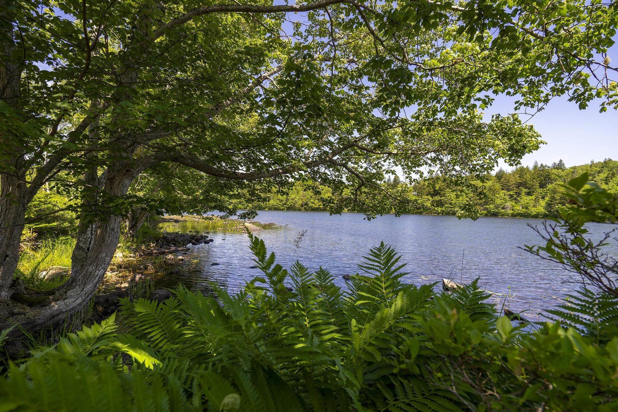 $75,000.00: 14 Killiam Forest Road, Ireton