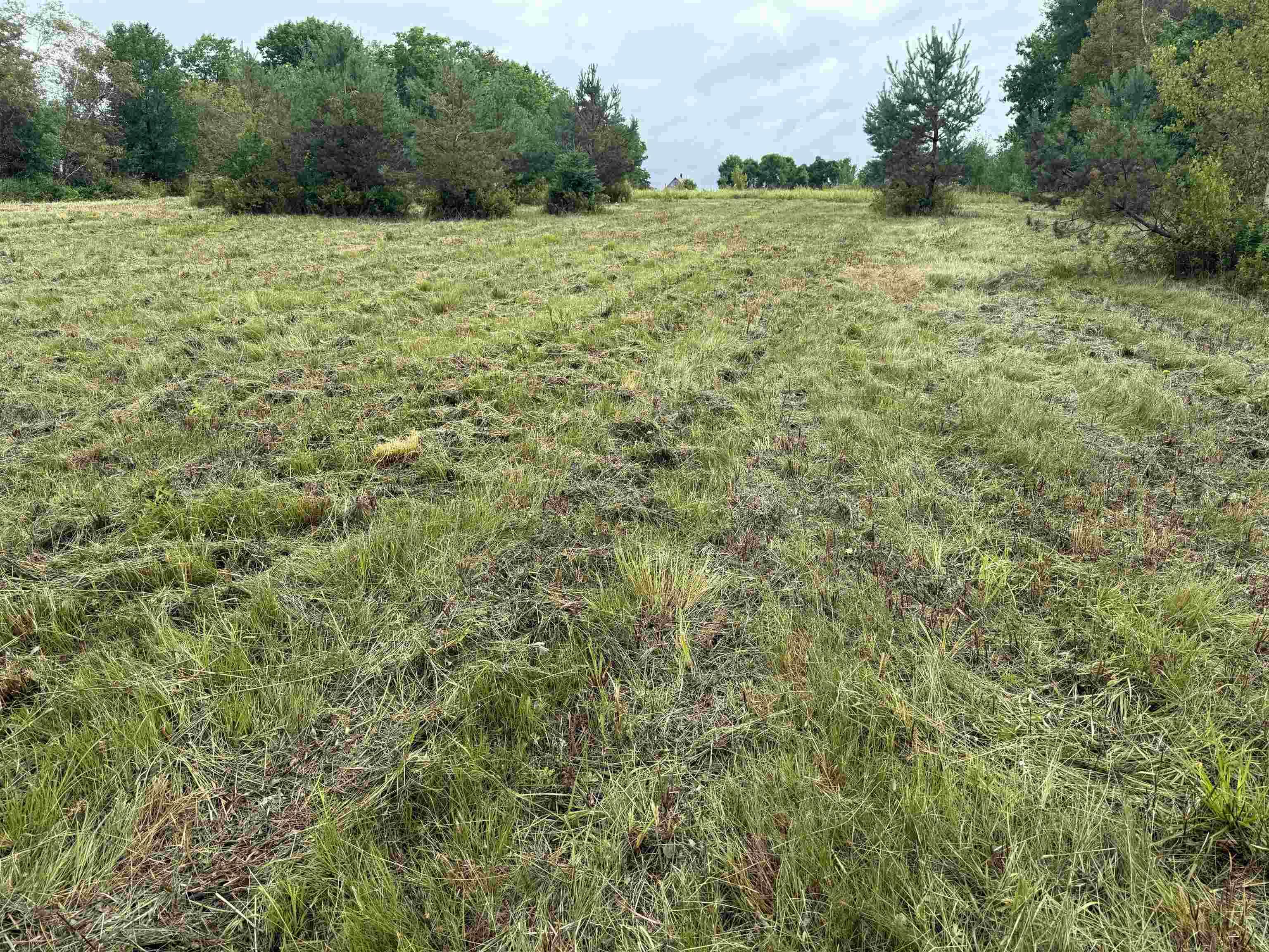 $79,900.00: Lot Pine Street, Tatamagouche