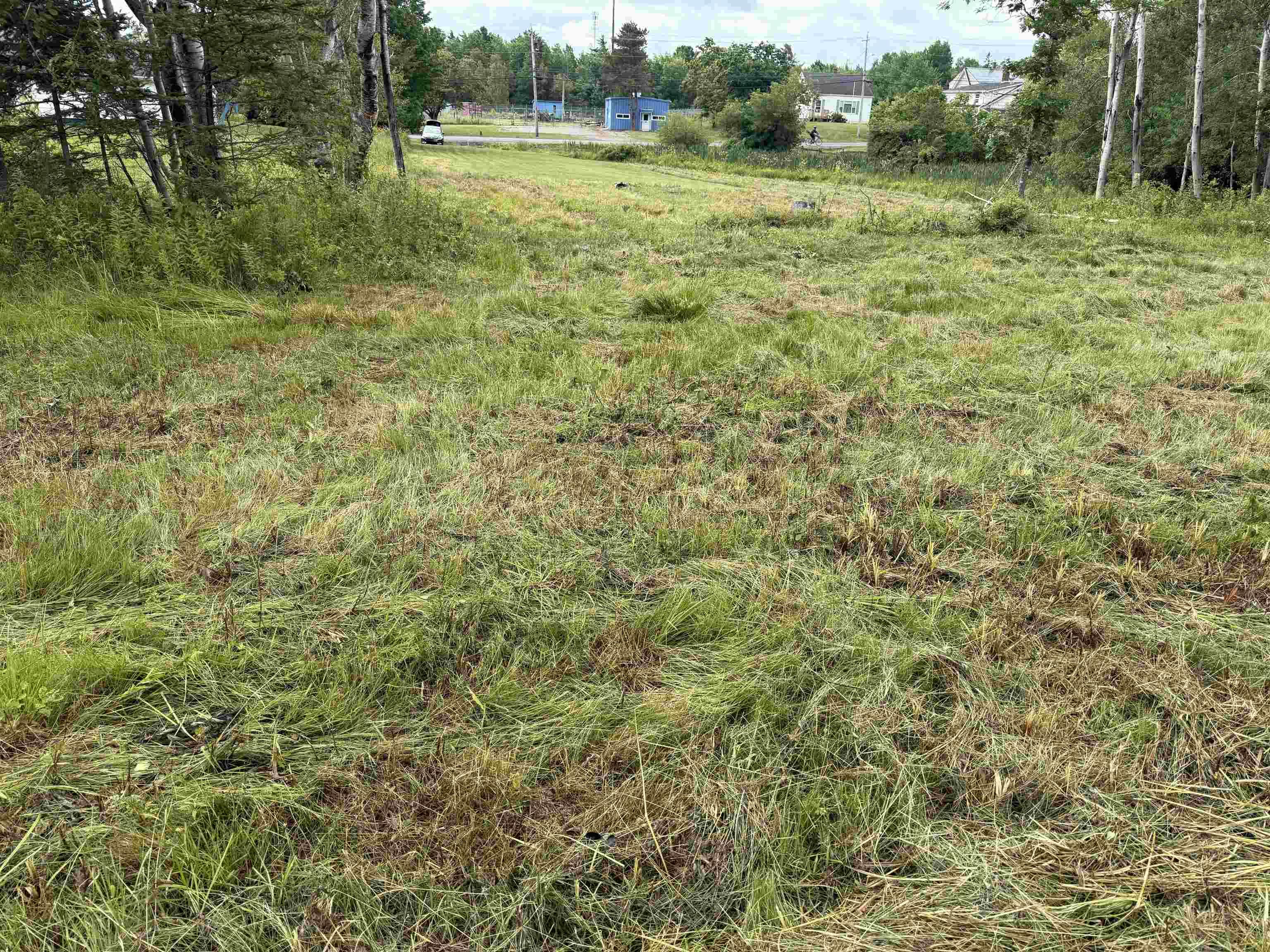 $79,900.00: Lot Pine Street, Tatamagouche