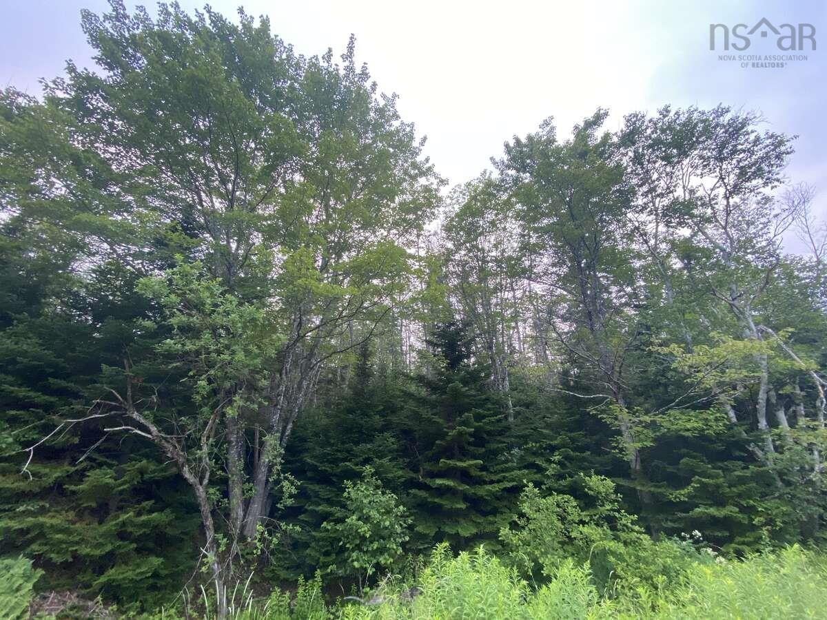 $9,900.00: Basin Road, Whiteside