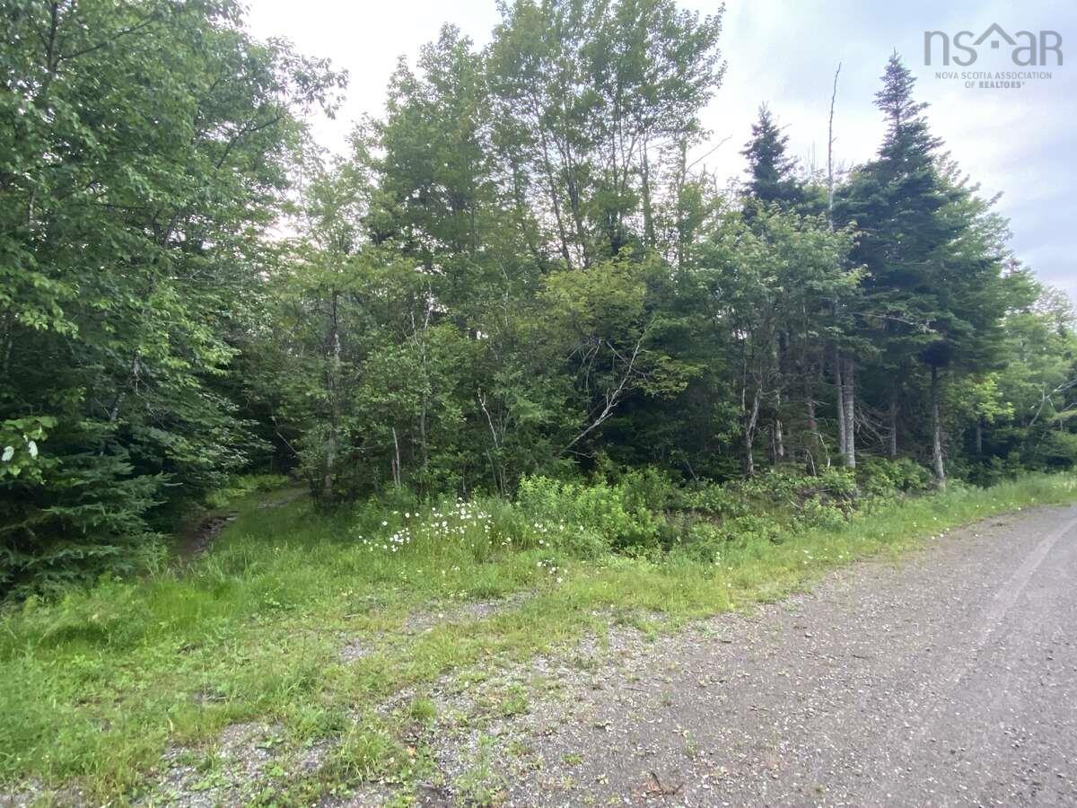 $9,900.00: Basin Road, Whiteside