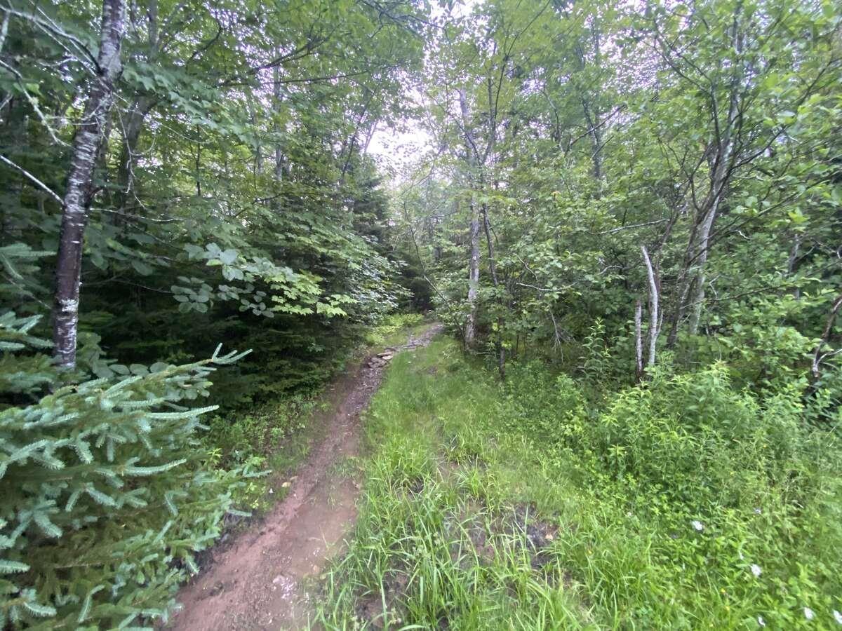 $9,900.00: Basin Road, Whiteside