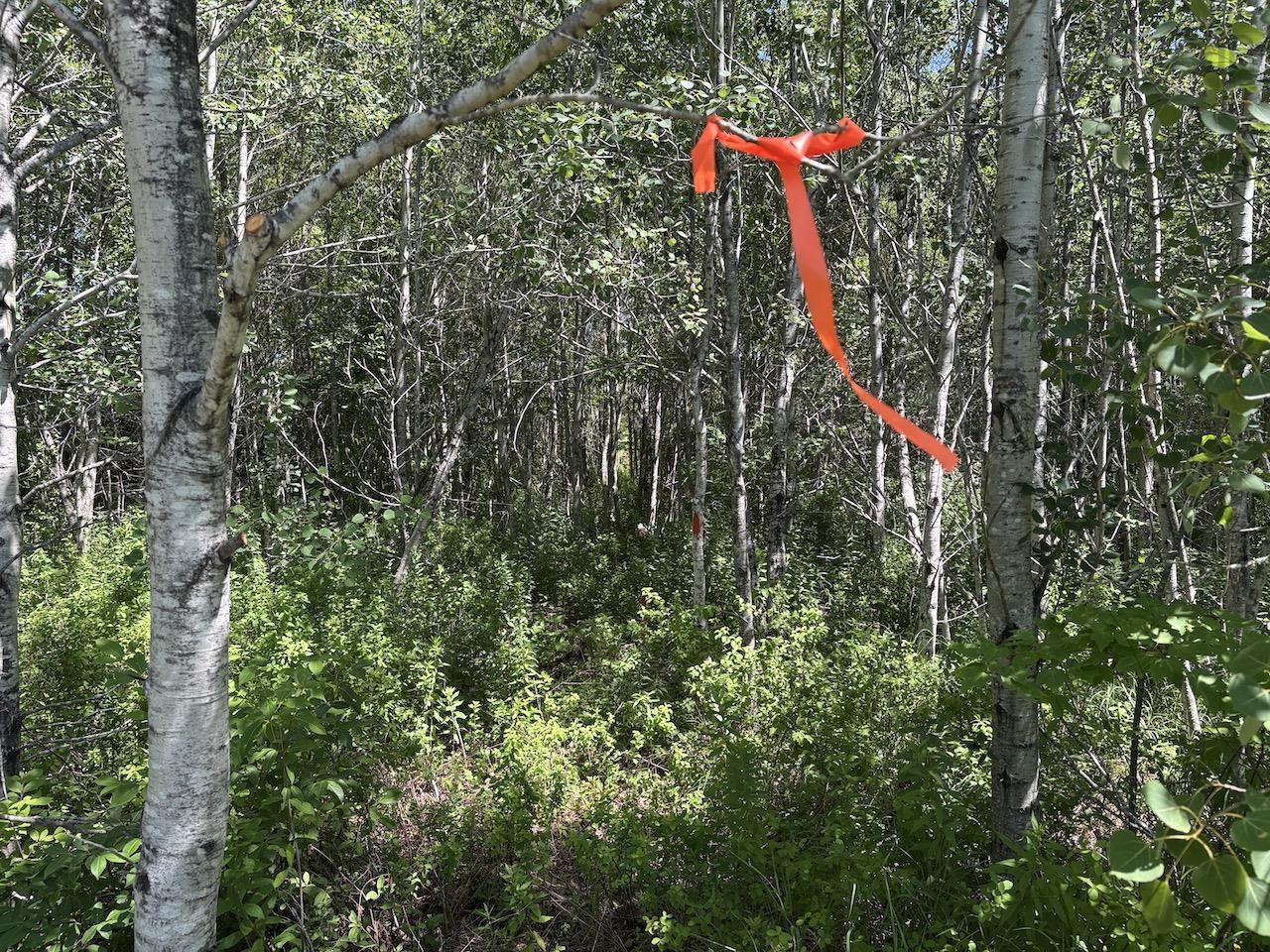 $29,900.00: Hunter Road, Wentworth