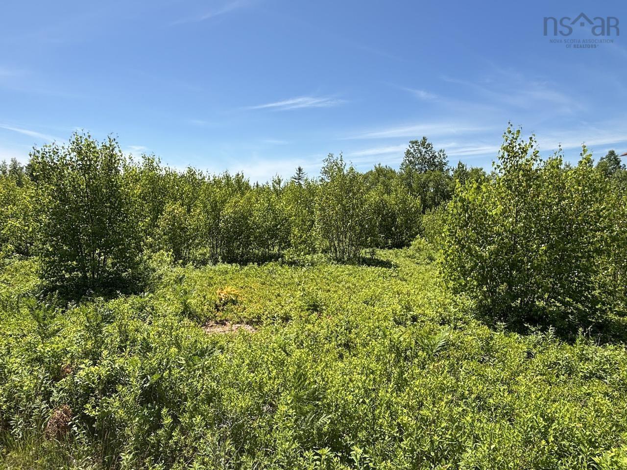 $29,900.00: Hunter Road, Wentworth