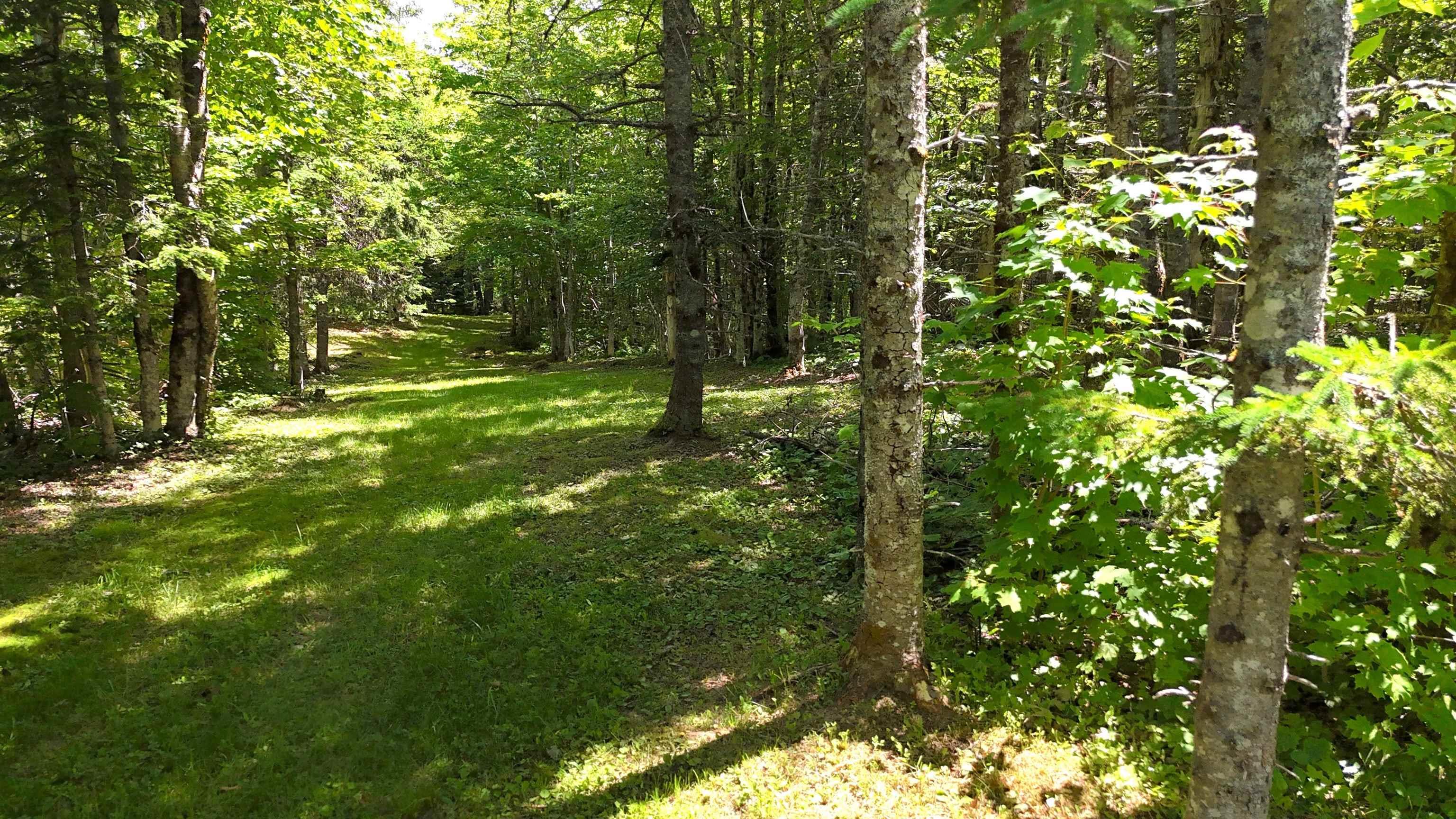 $83,900.00: 811 River Denys Mountain Road, Glendale