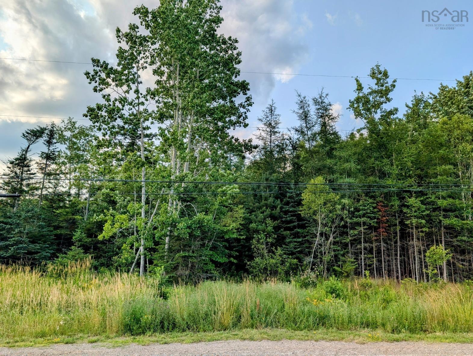 $19,500.00: Lot 4 2059 NO 289 Highway, Middle Stewiacke