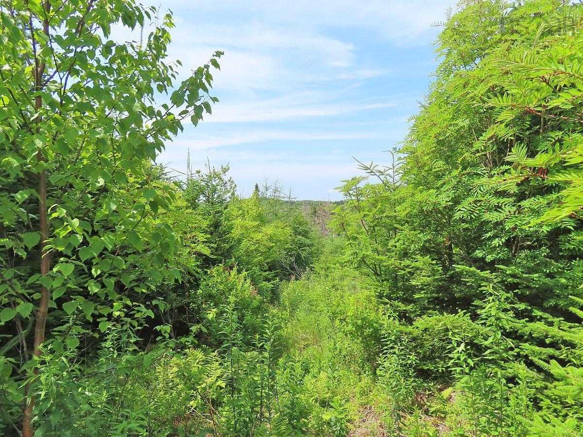 $45,000.00: Lot 3 Rear Big Cove Road, Soldiers Cove