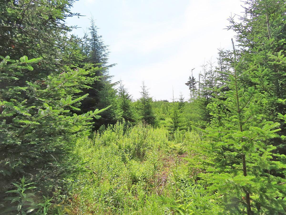 $45,000.00: Lot 3 Rear Big Cove Road, Soldiers Cove