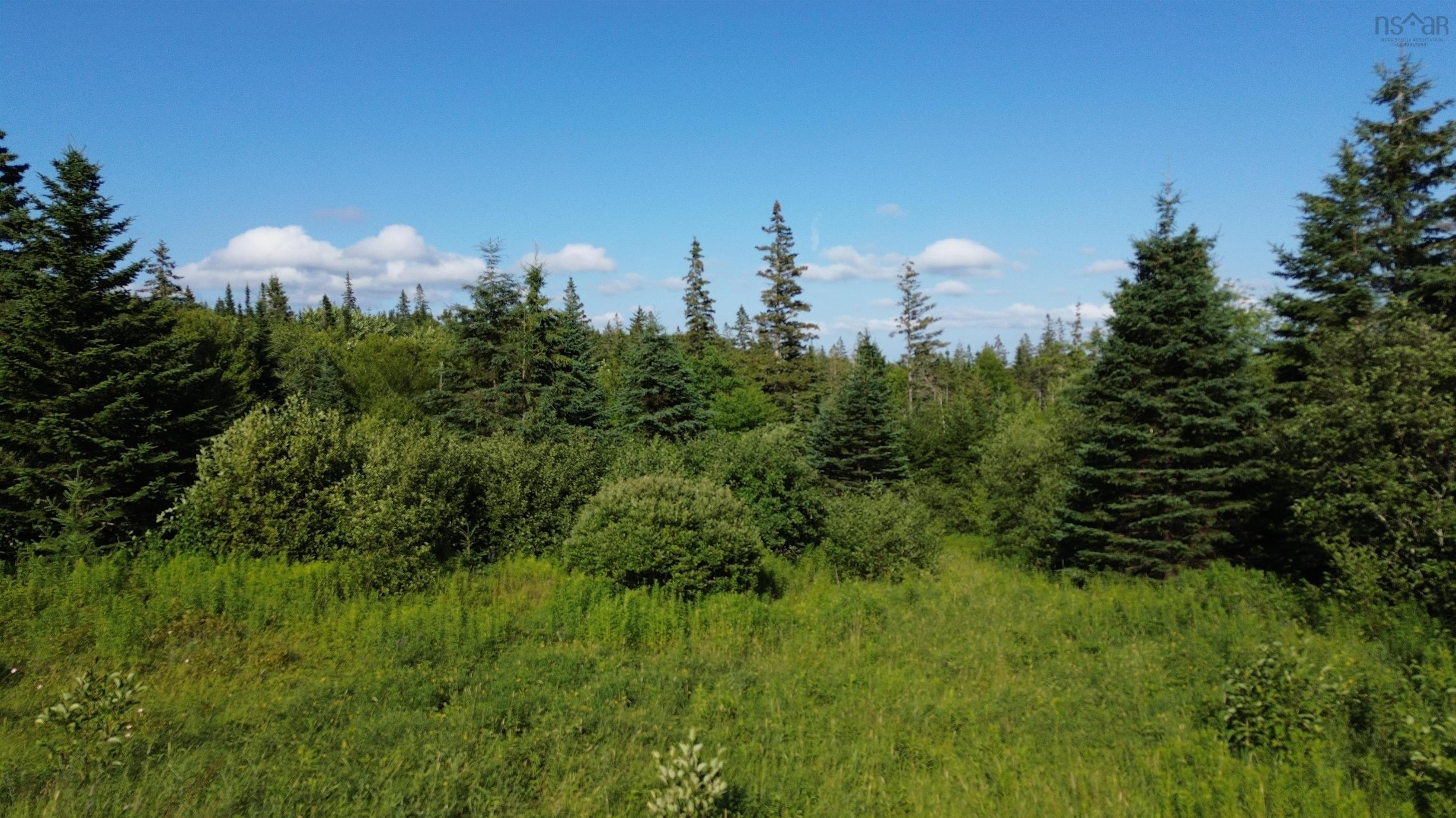 $79,000.00: Black River Road, Grande Anse