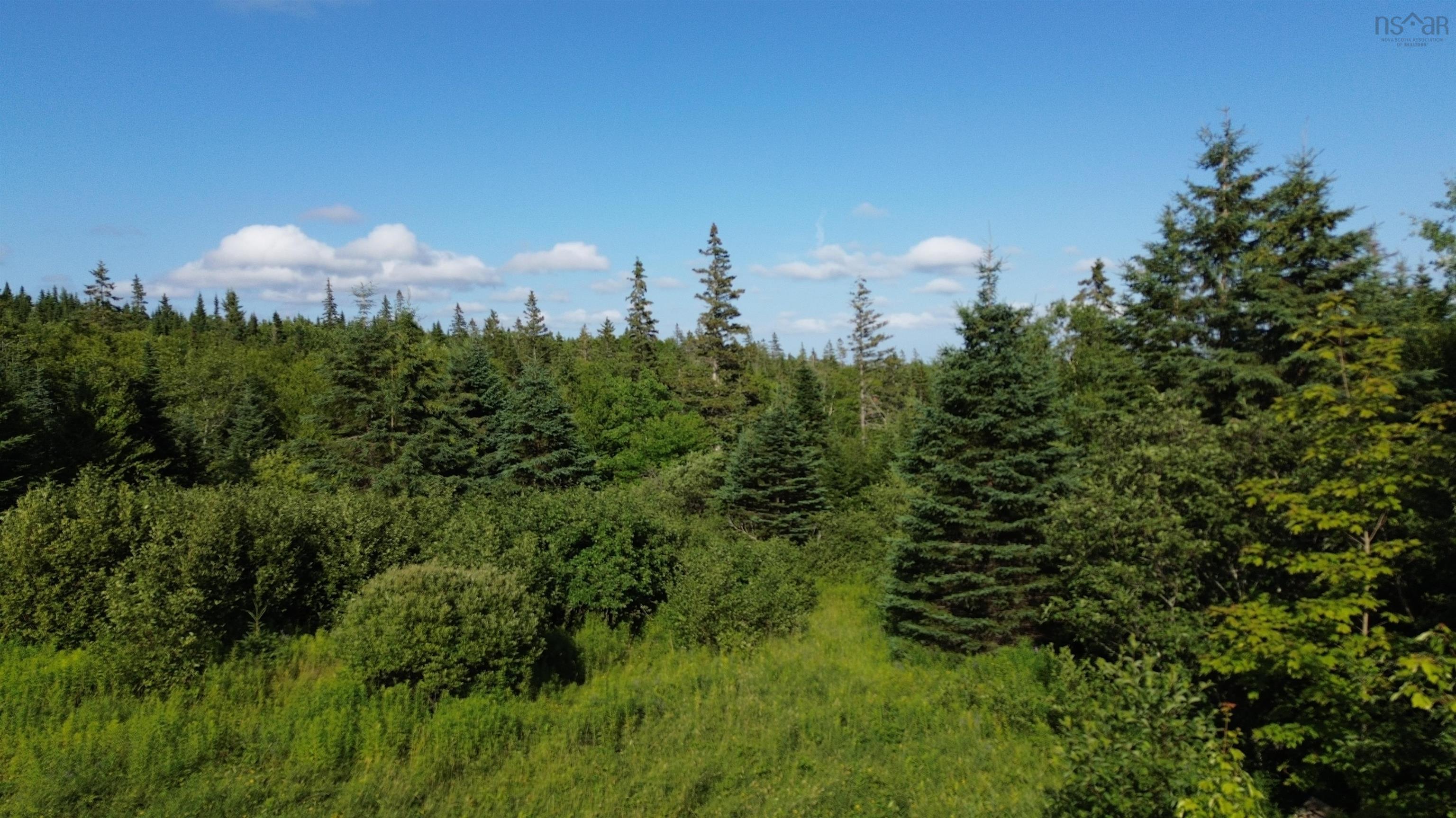 $79,000.00: Black River Road, Grande Anse