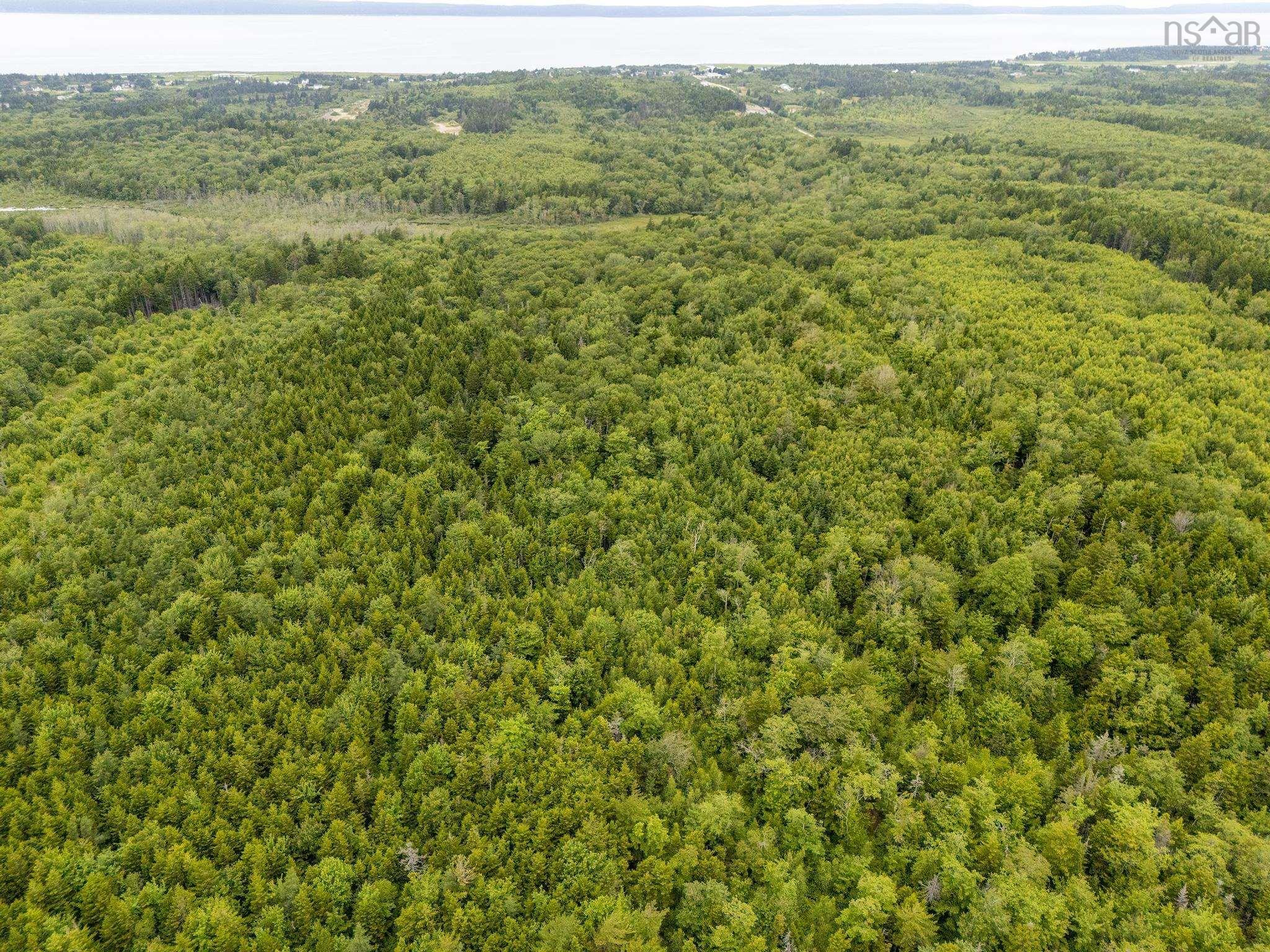 $49,000.00: Lot 1 Highway 1, Grosses Coques