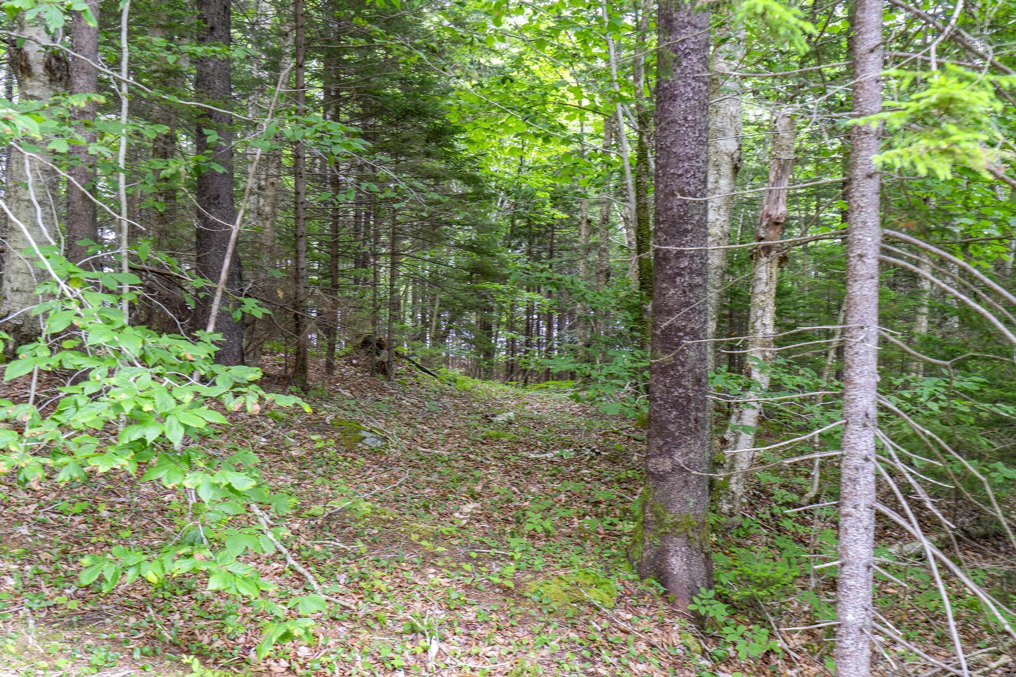 $49,000.00: Lot 1 Highway 1, Grosses Coques