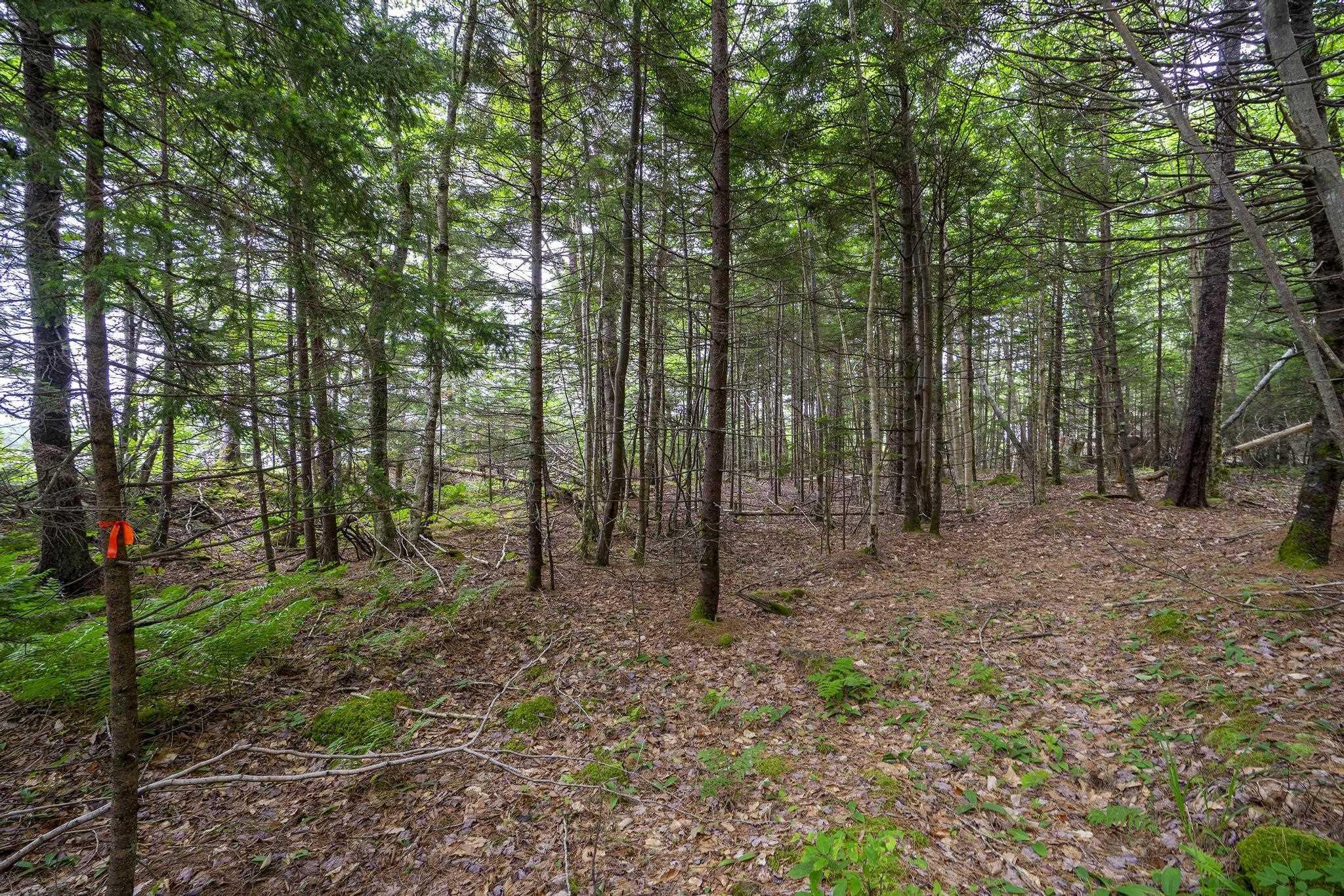 $49,000.00: Lot 1 Highway 1, Grosses Coques