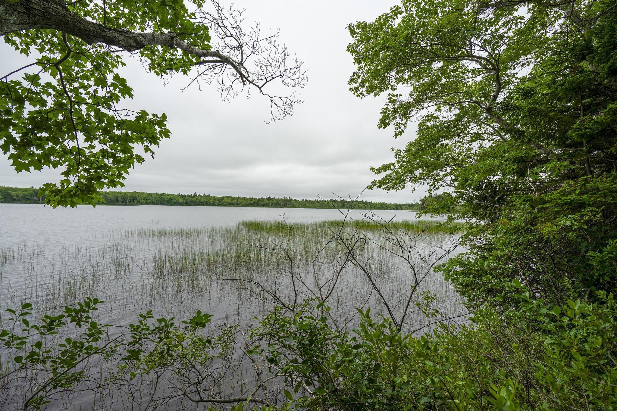 $49,000.00: Lot 1 Highway 1, Grosses Coques