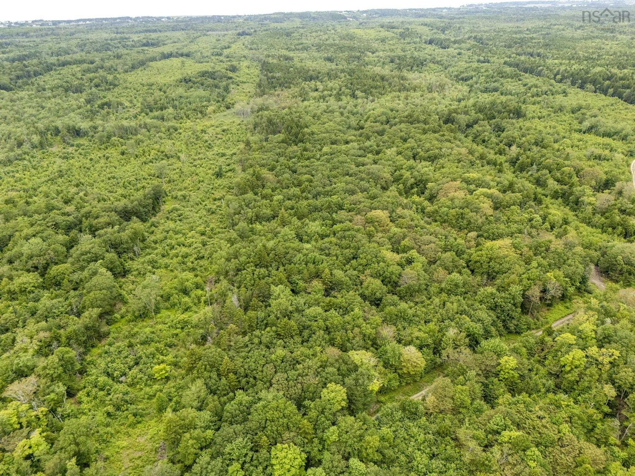 $49,000.00: Lot 1 Highway 1, Grosses Coques