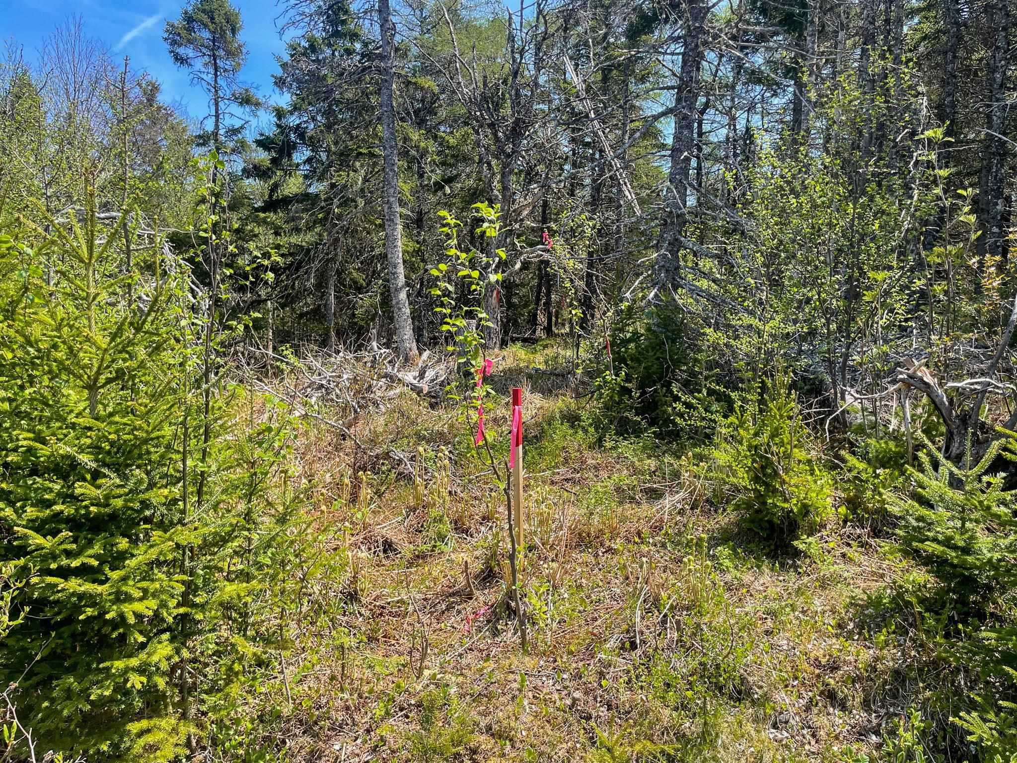 $82,500.00: Lot 24-9 Crooked Lake Road, Framboise