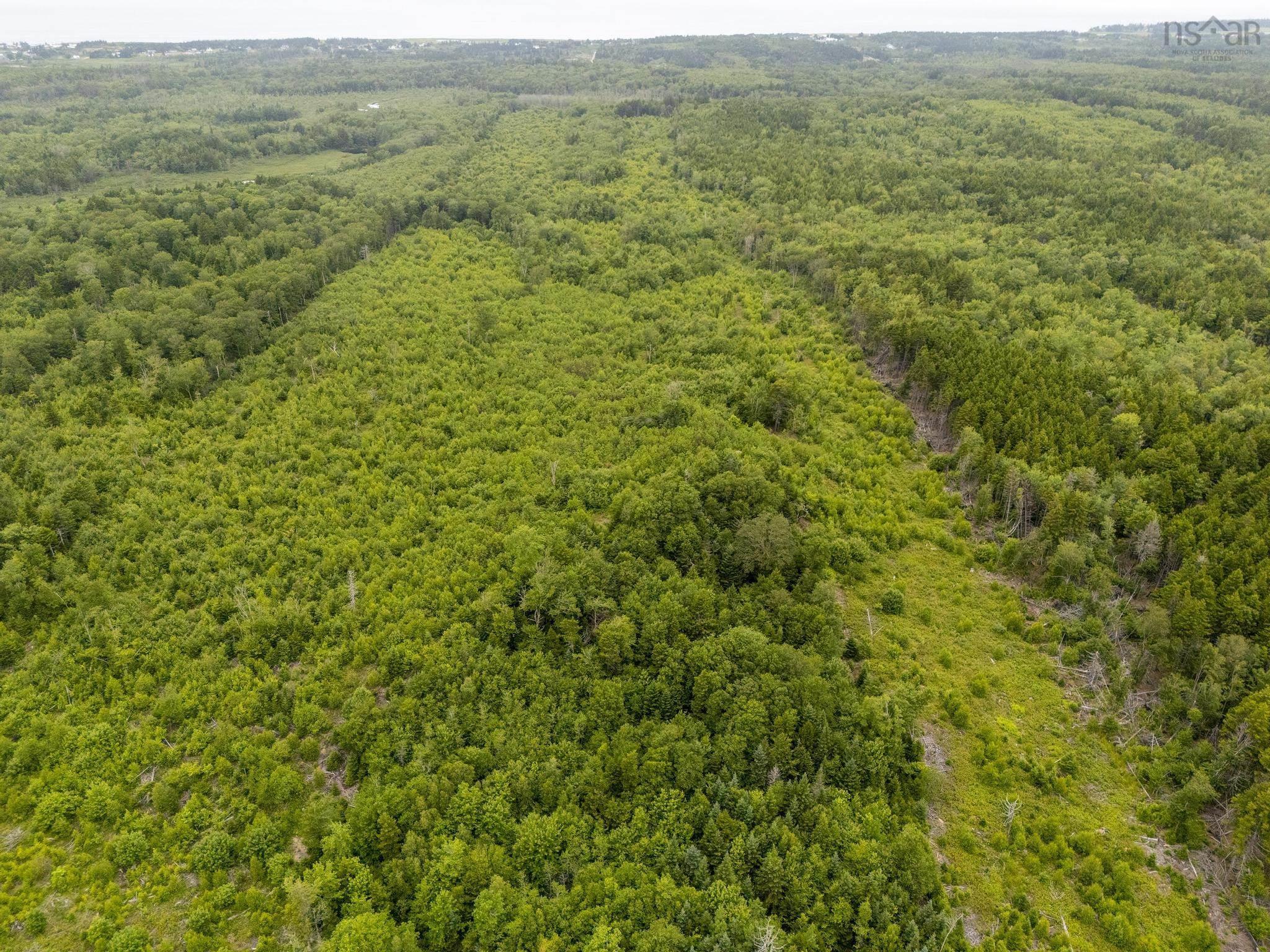 $55,000.00: Lot 4 Highway 1, Grosses Coques
