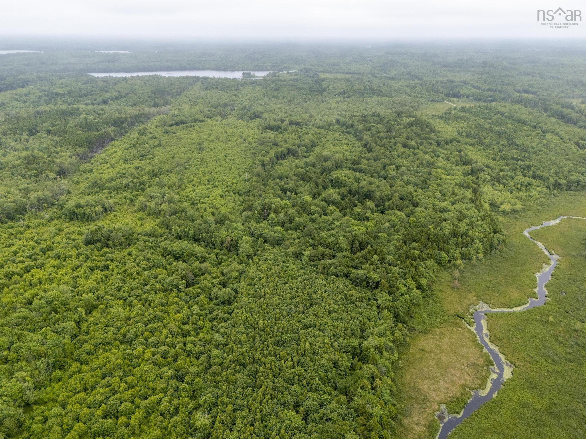 $55,000.00: Lot 4 Highway 1, Grosses Coques