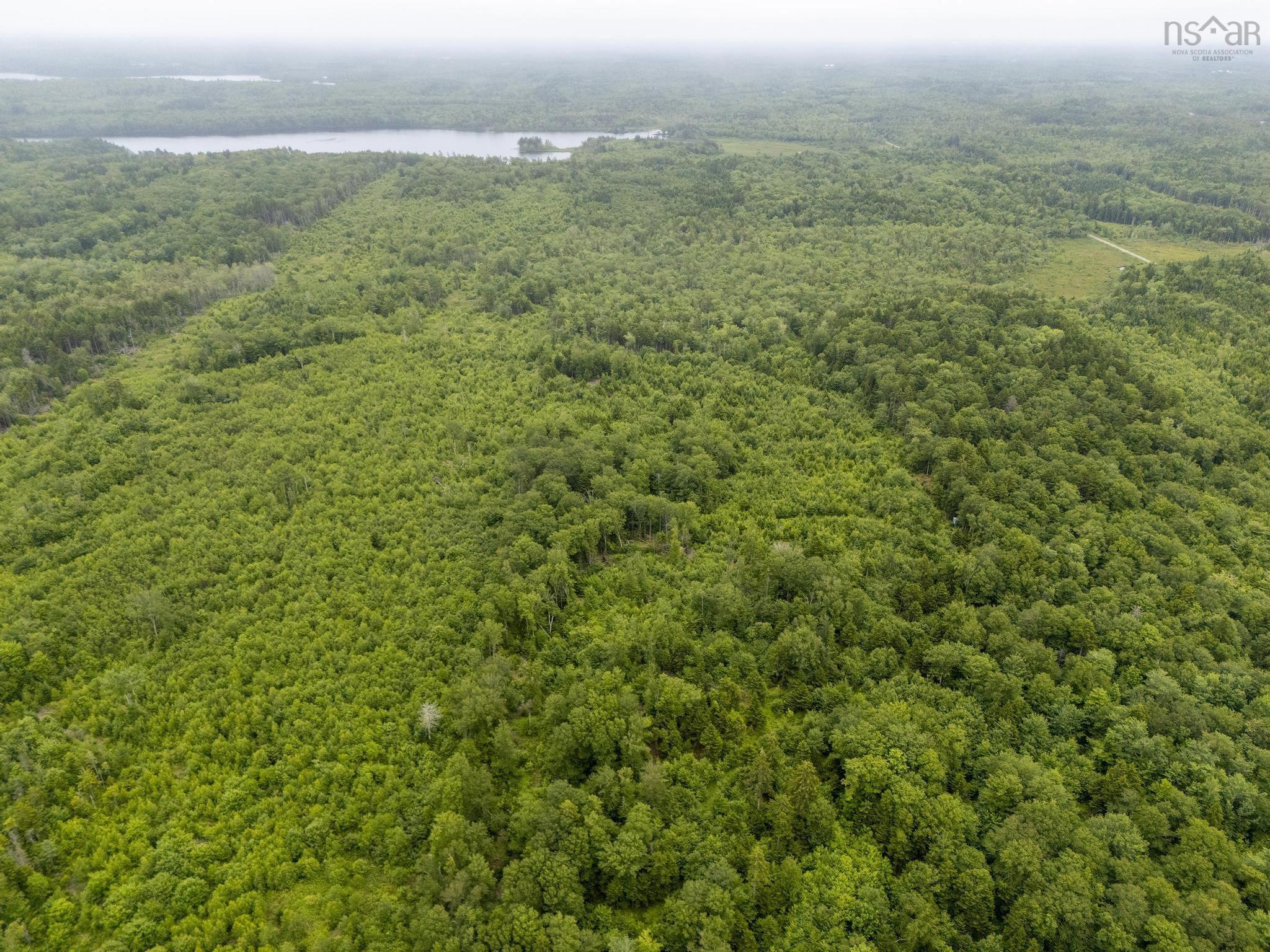 $55,000.00: Lot 4 Highway 1, Grosses Coques