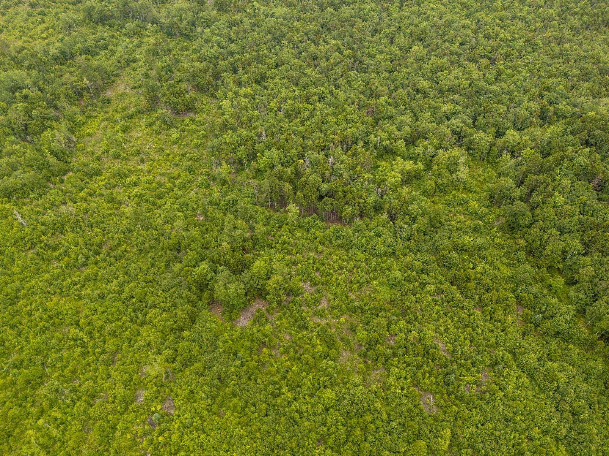 $55,000.00: Lot 4 Highway 1, Grosses Coques