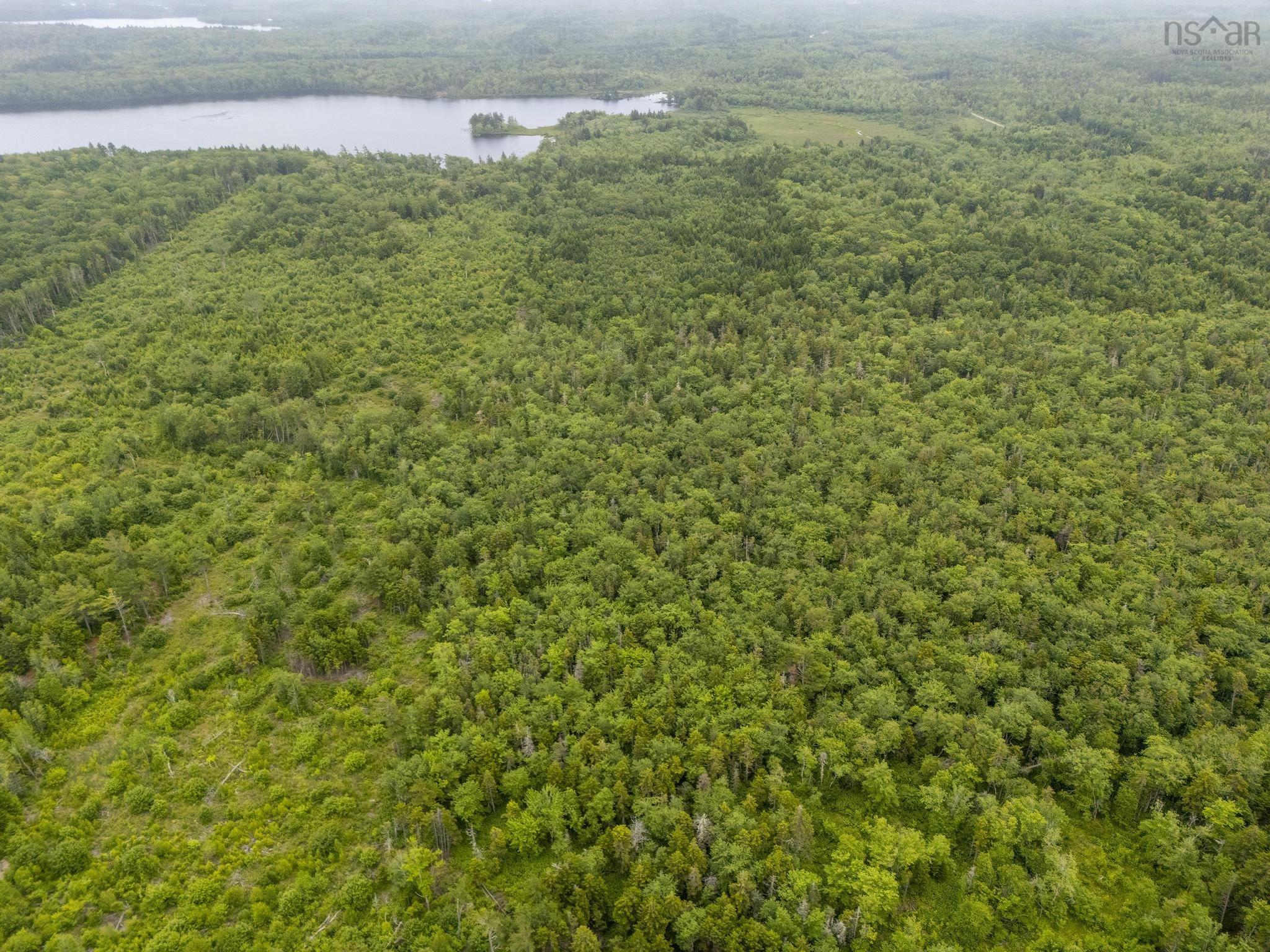 $55,000.00: Lot 4 Highway 1, Grosses Coques