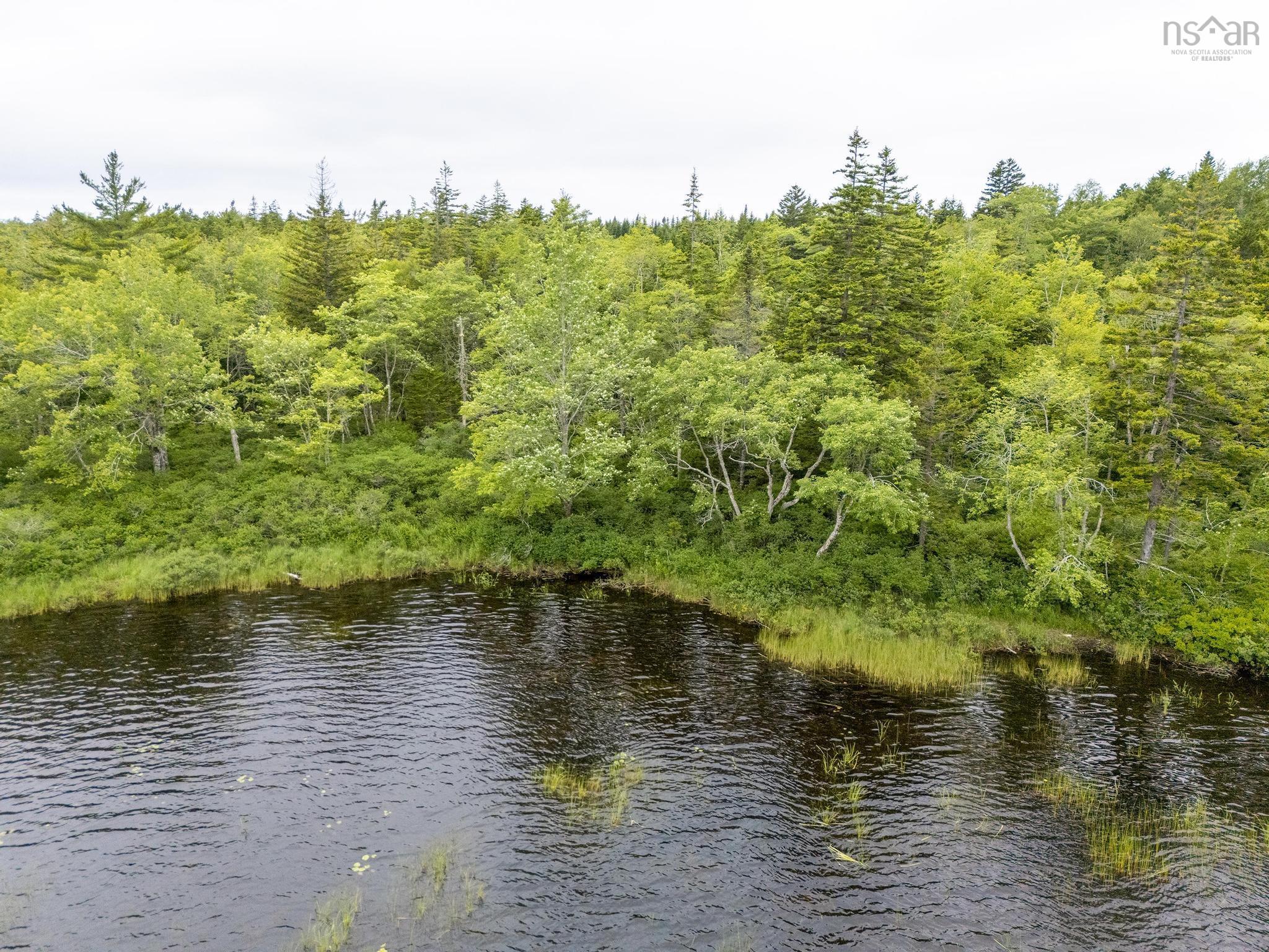 $55,000.00: Lot 4 Highway 1, Grosses Coques