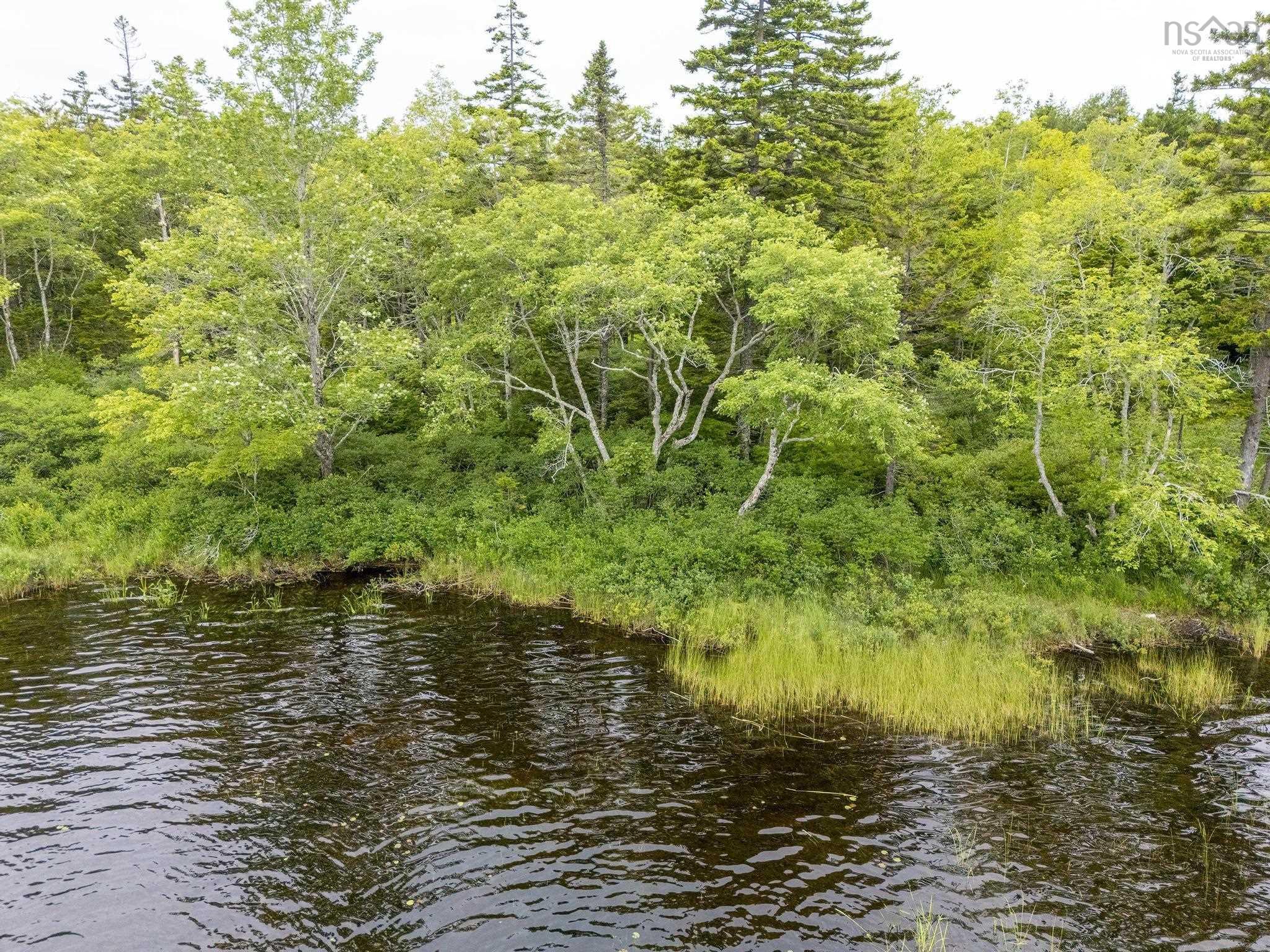 $55,000.00: Lot 4 Highway 1, Grosses Coques