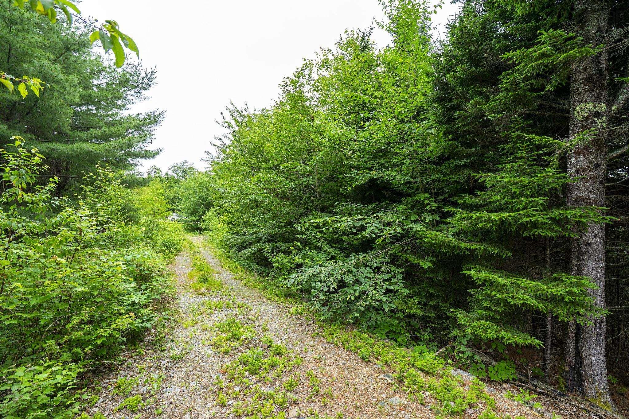 $55,000.00: Lot 4 Highway 1, Grosses Coques