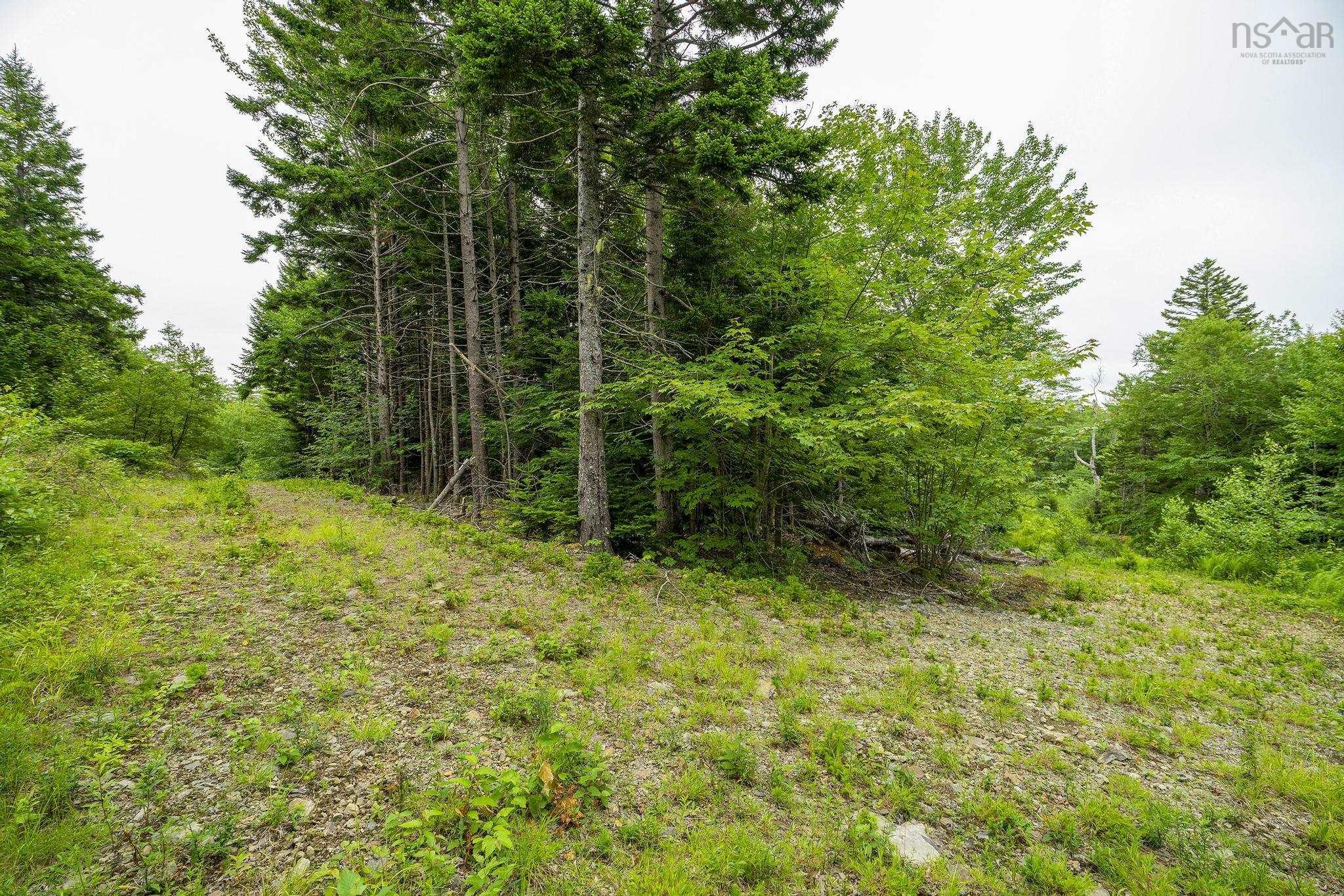 $55,000.00: Lot 4 Highway 1, Grosses Coques