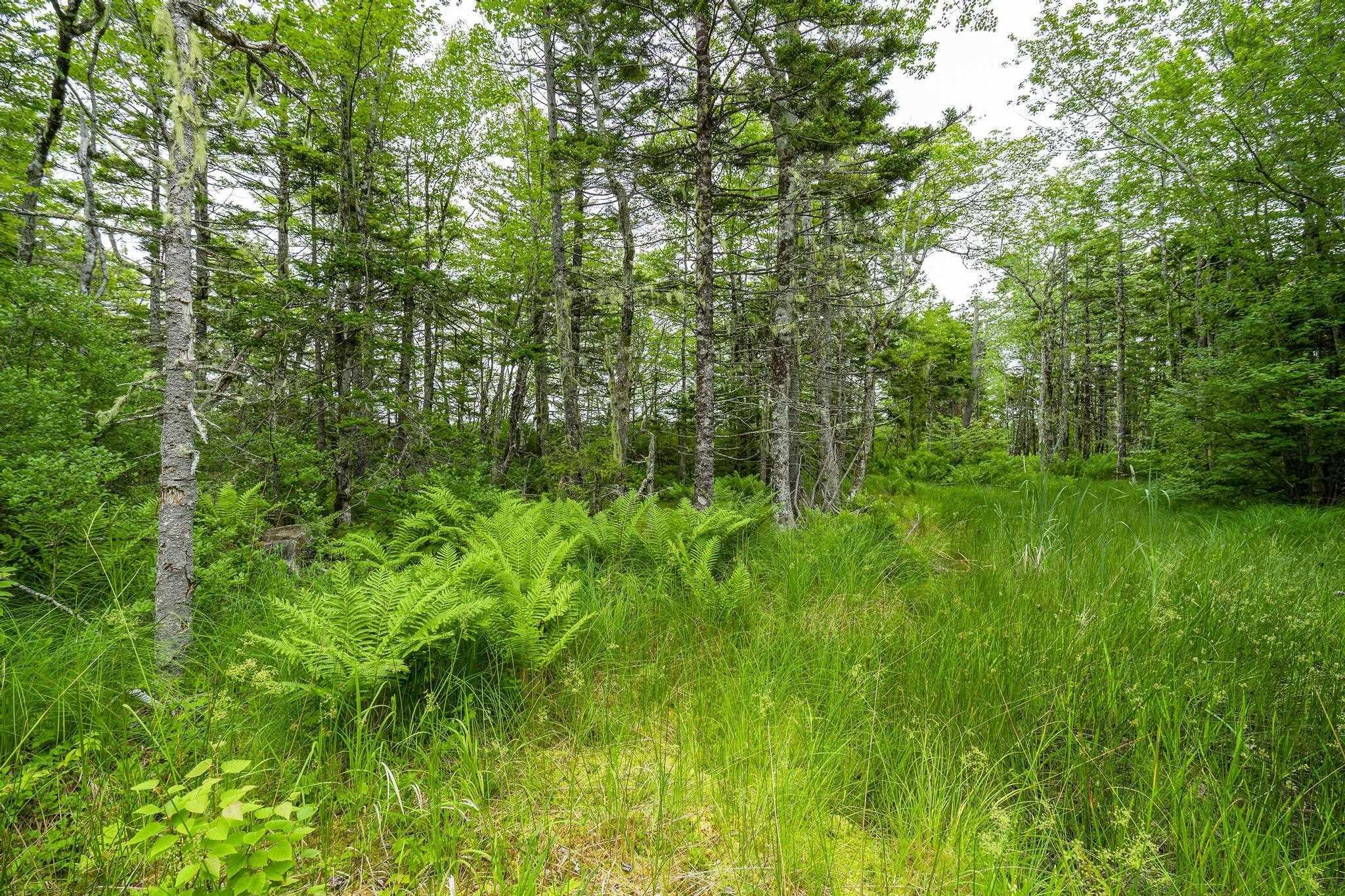 $55,000.00: Lot 4 Highway 1, Grosses Coques