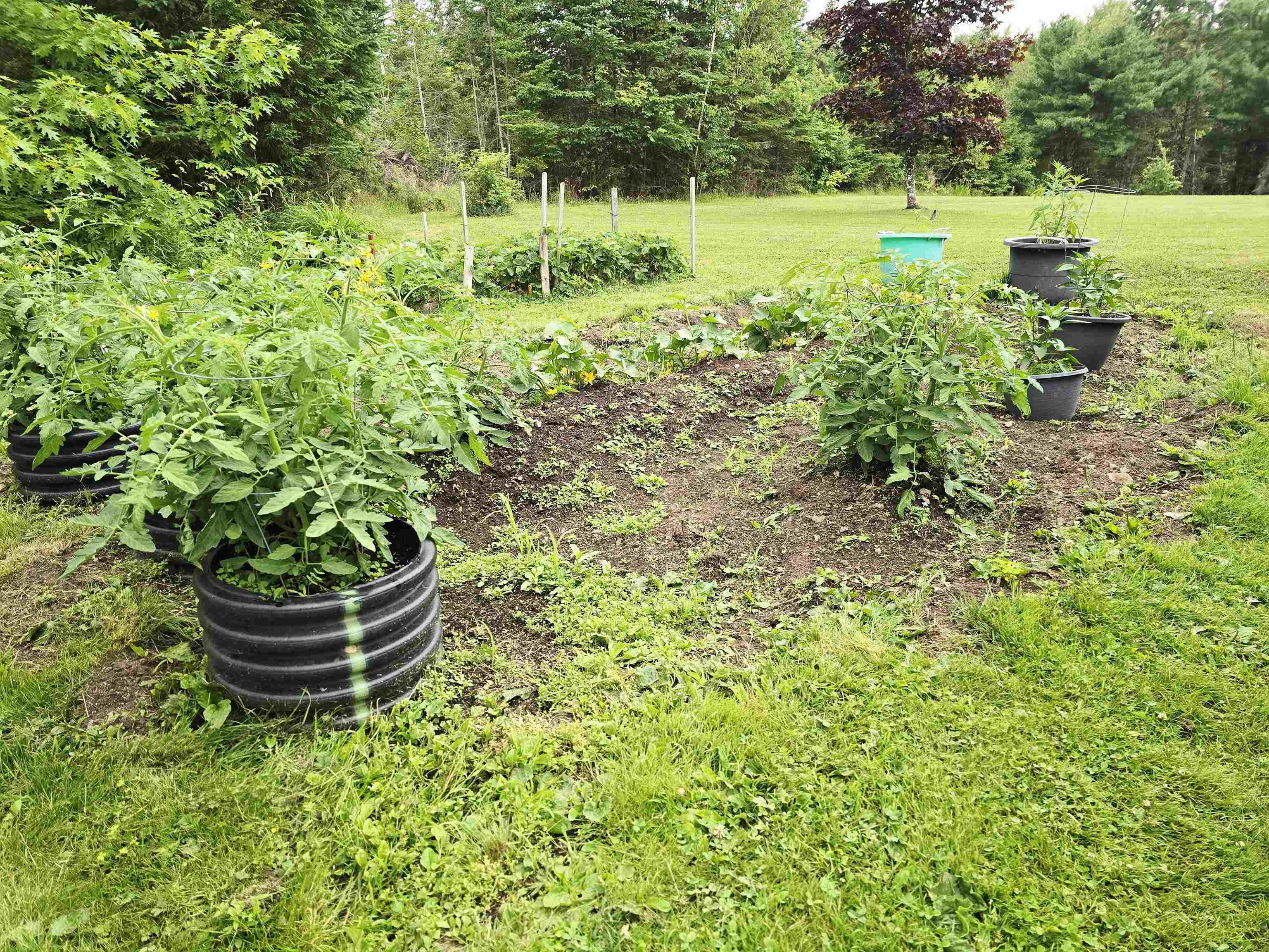 $262,800.00: 2930 Gairloch Road, Rocklin