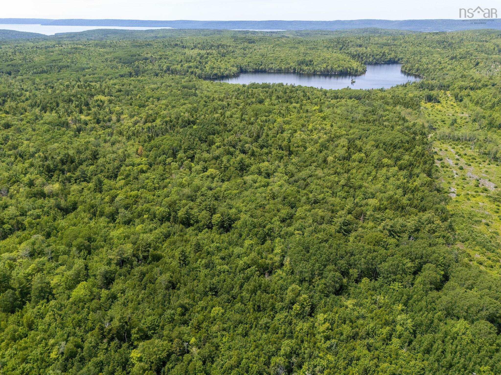 $199,000.00: 259 Bill Berry Road, Princedale