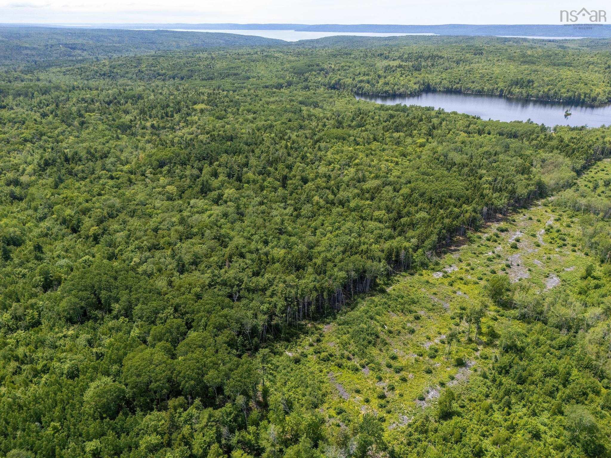 $199,000.00: 259 Bill Berry Road, Princedale