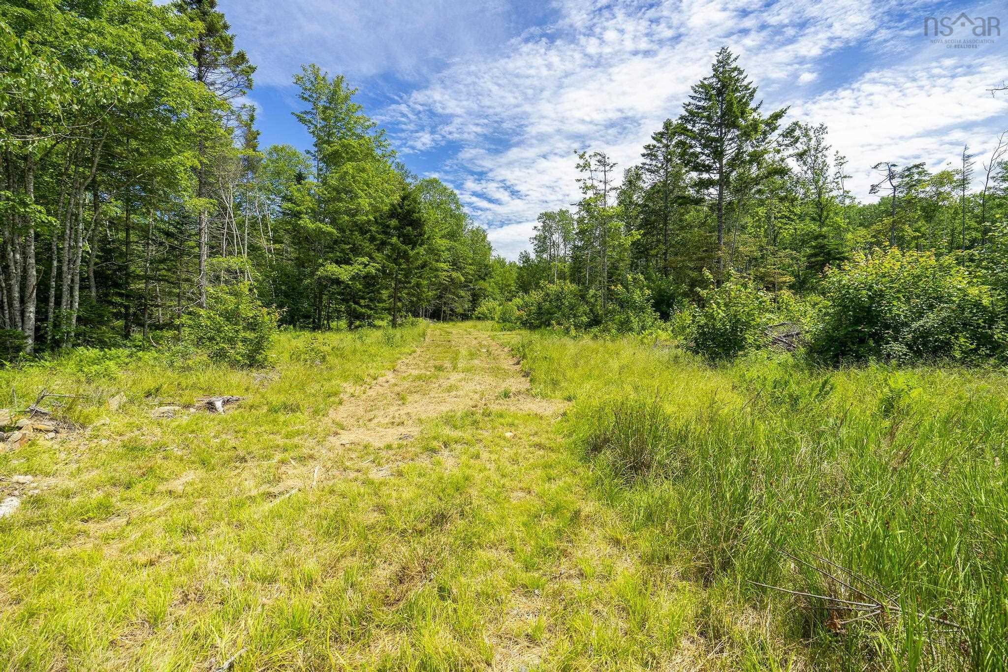 $199,000.00: 259 Bill Berry Road, Princedale