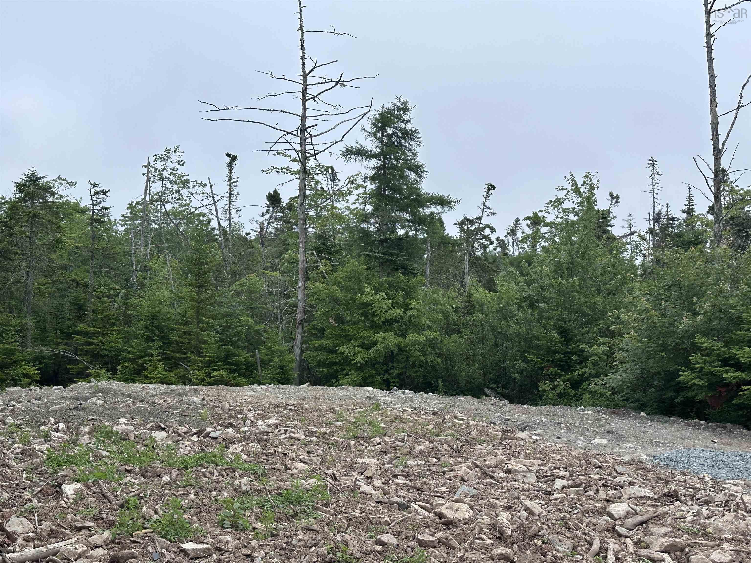 $49,900.00: 9660 Highway 7, Head Of Jeddore